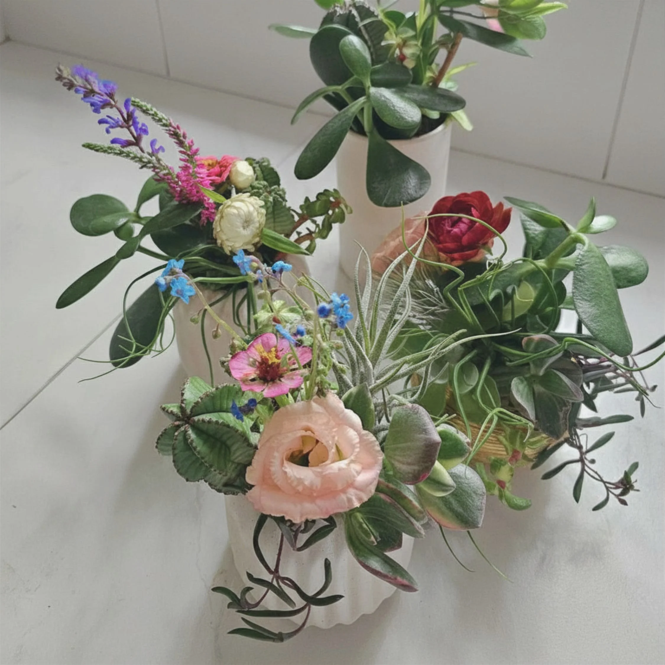 Untitled design (10).jpg