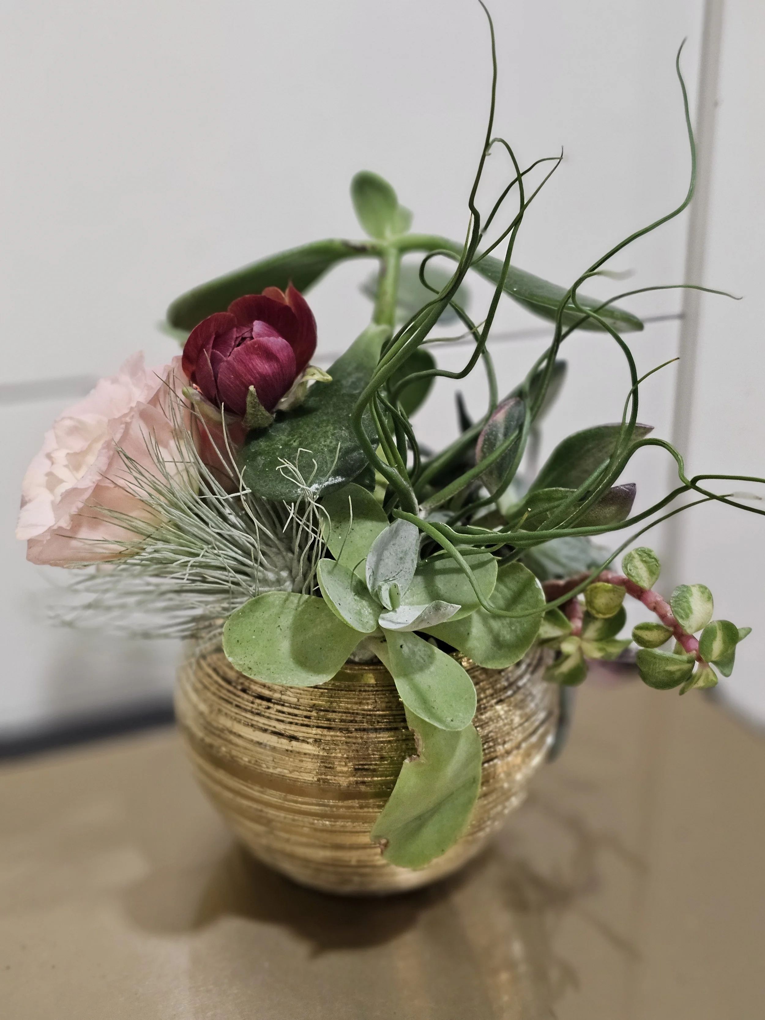 Blooming Succulents
