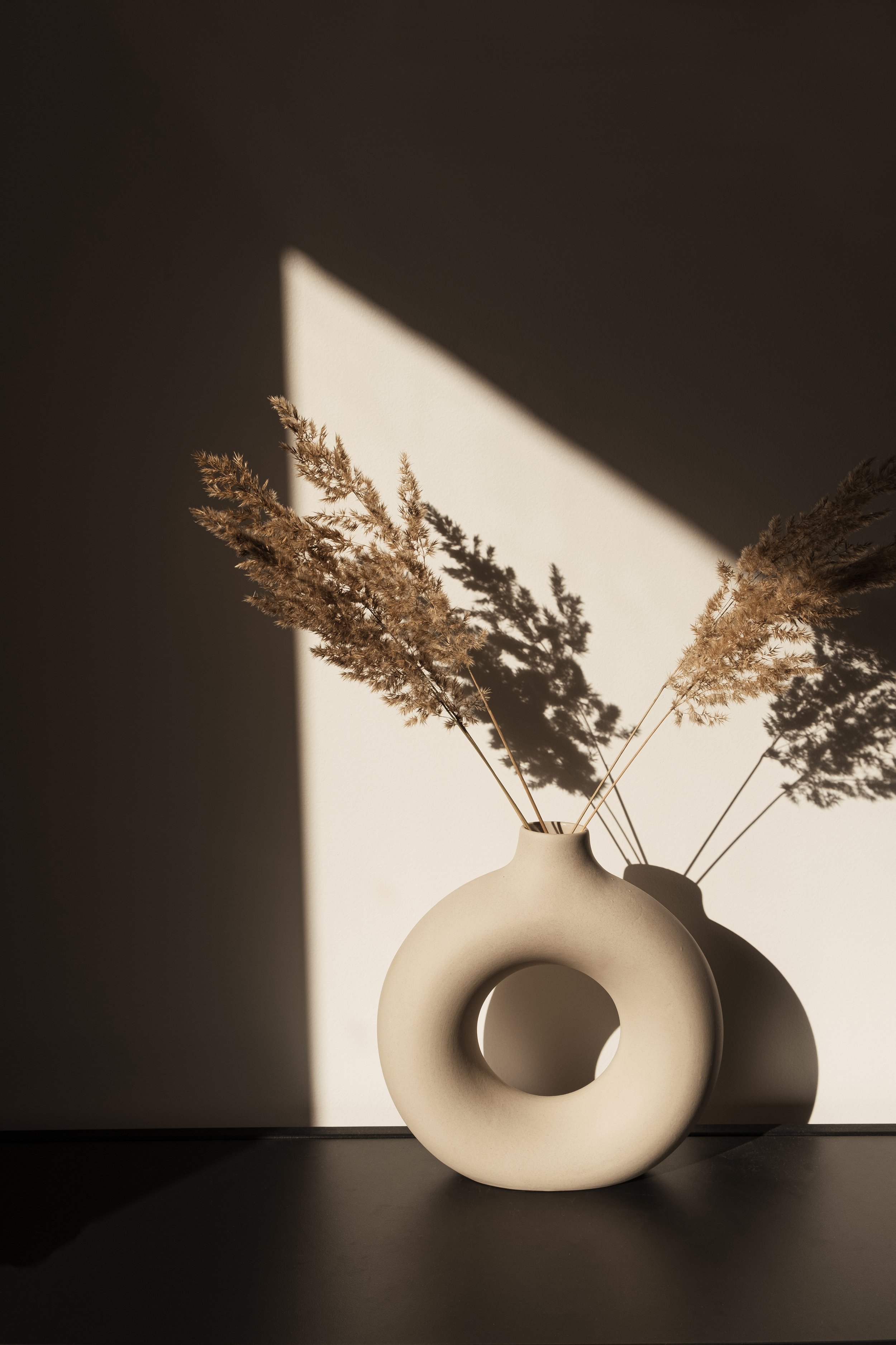 AdobeStock_376488967.jpeg