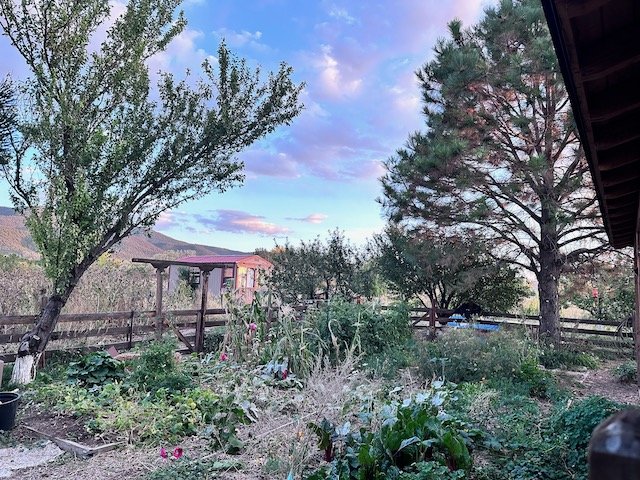 A lush garden with various plants and trees surrounded by a wooden fence, set against a backdrop of a partly cloudy sky during dusk. A small wooden structure is visible in the distance.