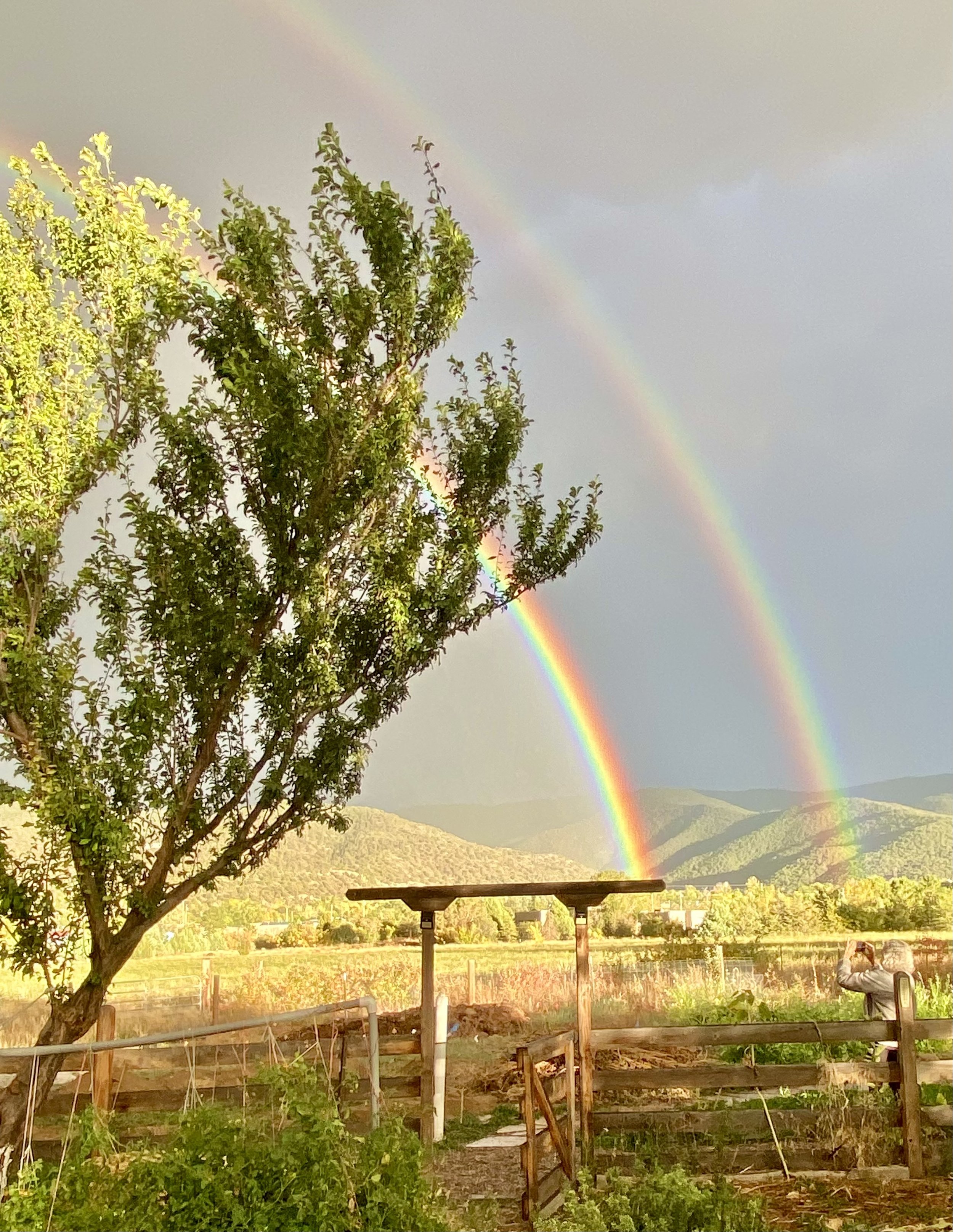 Sanctuary In The Wild Orchard
