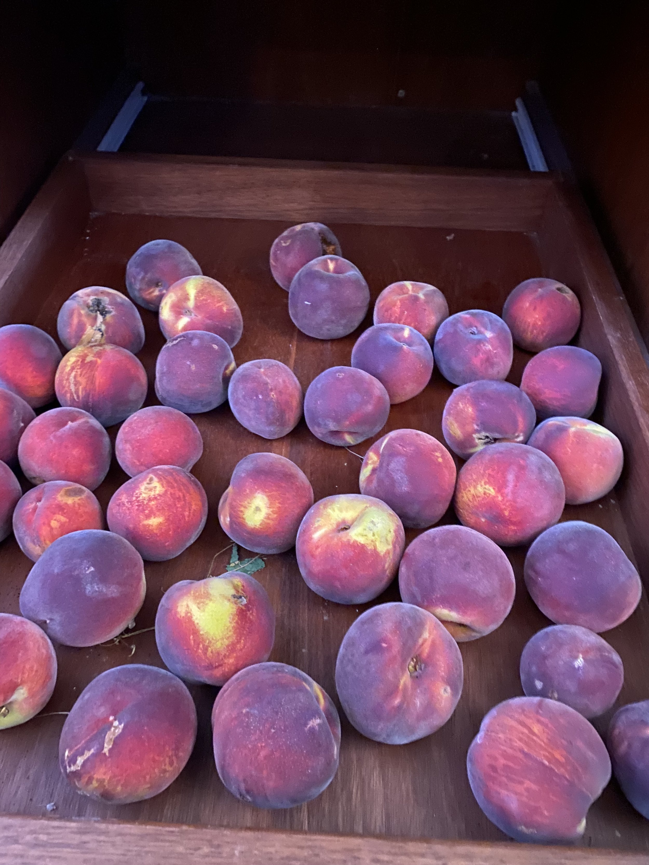 A wooden drawer filled with ripe peaches.