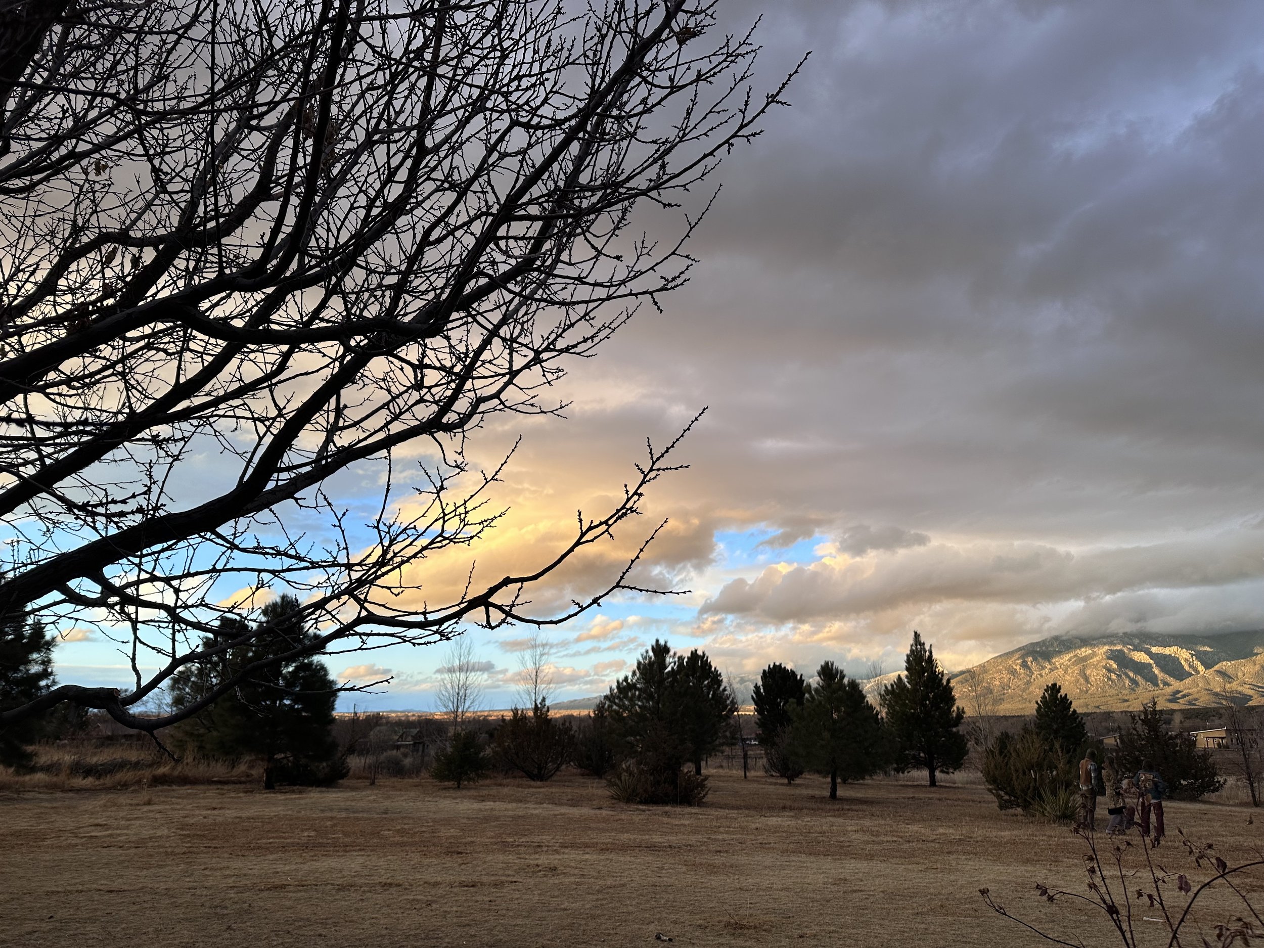 Landscape with bare tree branches, cloudy sky, distant mountains, and trees on a grassy field.