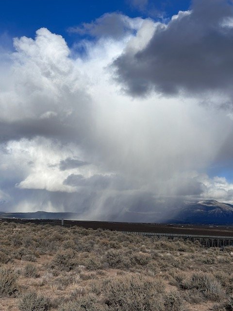 Storm clouds and rain over a mountainous landscape with desert vegetation in the foreground.