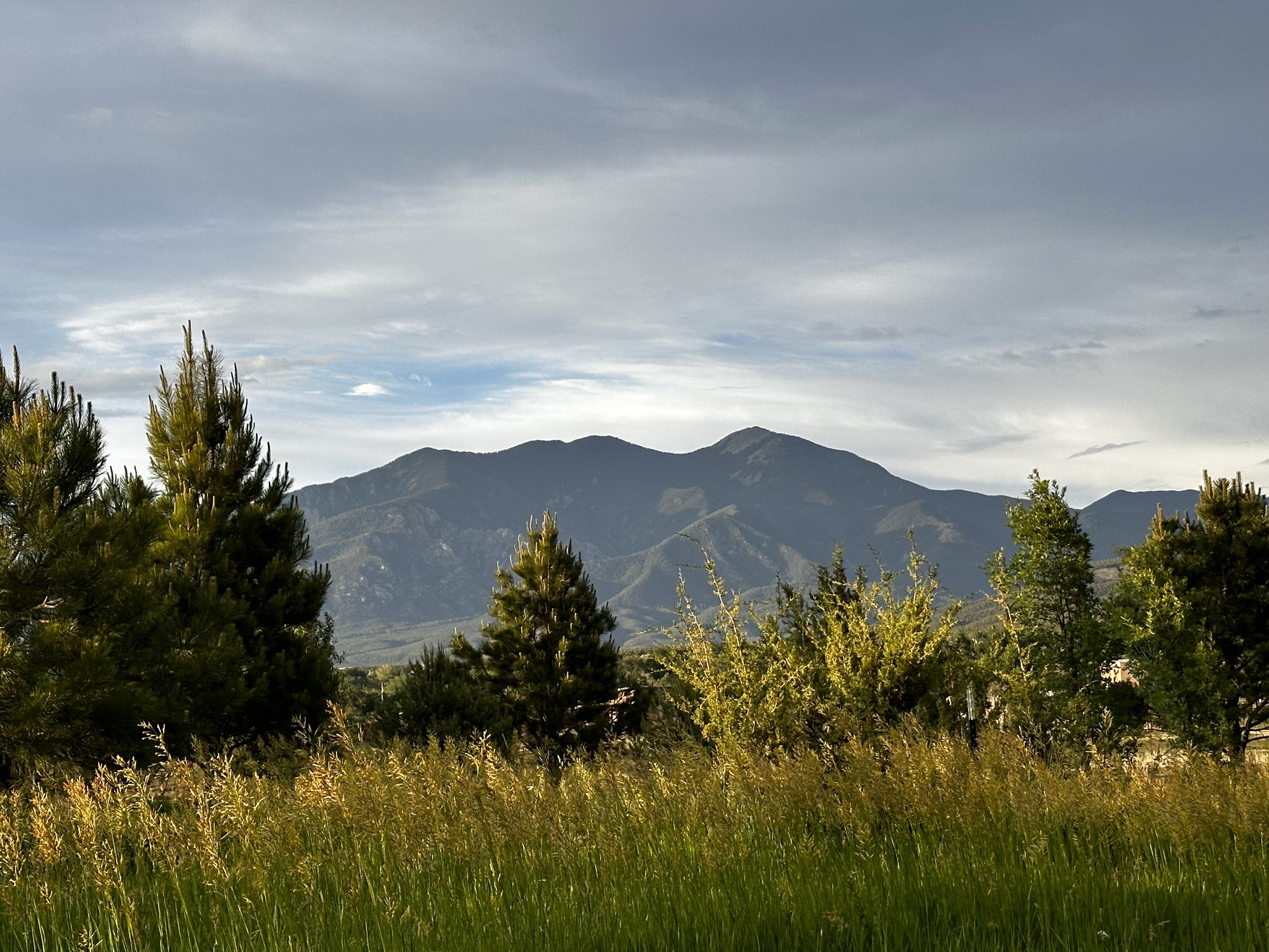 Landscape with Pueblo Mountain in the background, pine trees, and grassy field under a cloudy sky in Taos County.
