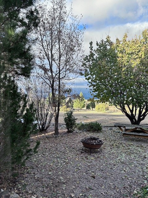Outdoor area with trees, fire pit, and picnic table