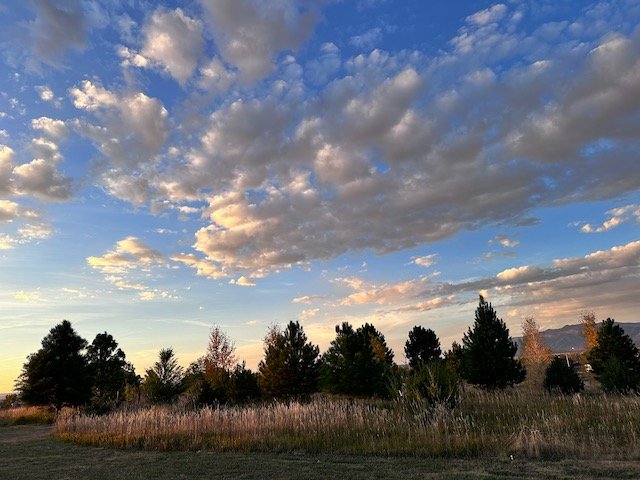 Landscape with trees, grassy field, and a partly cloudy sky at sunset.