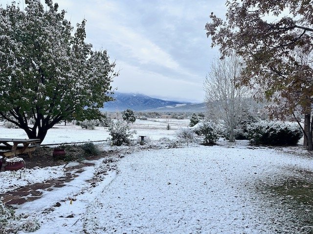 Winter in Taos, snow-covered yard with trees and mountains in the background on a cloudy day.