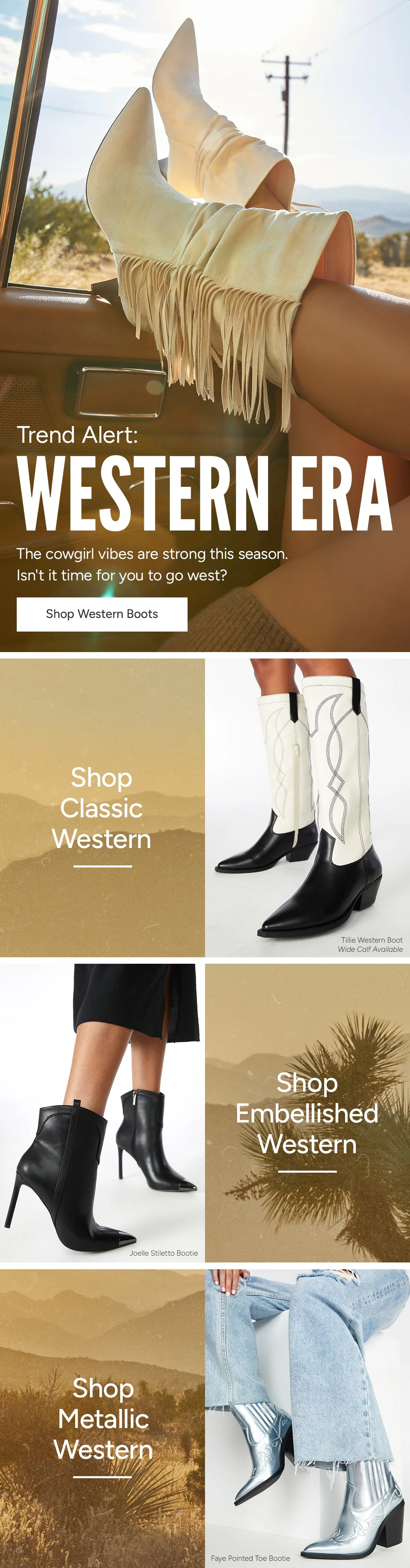 Western Email Marketing Story