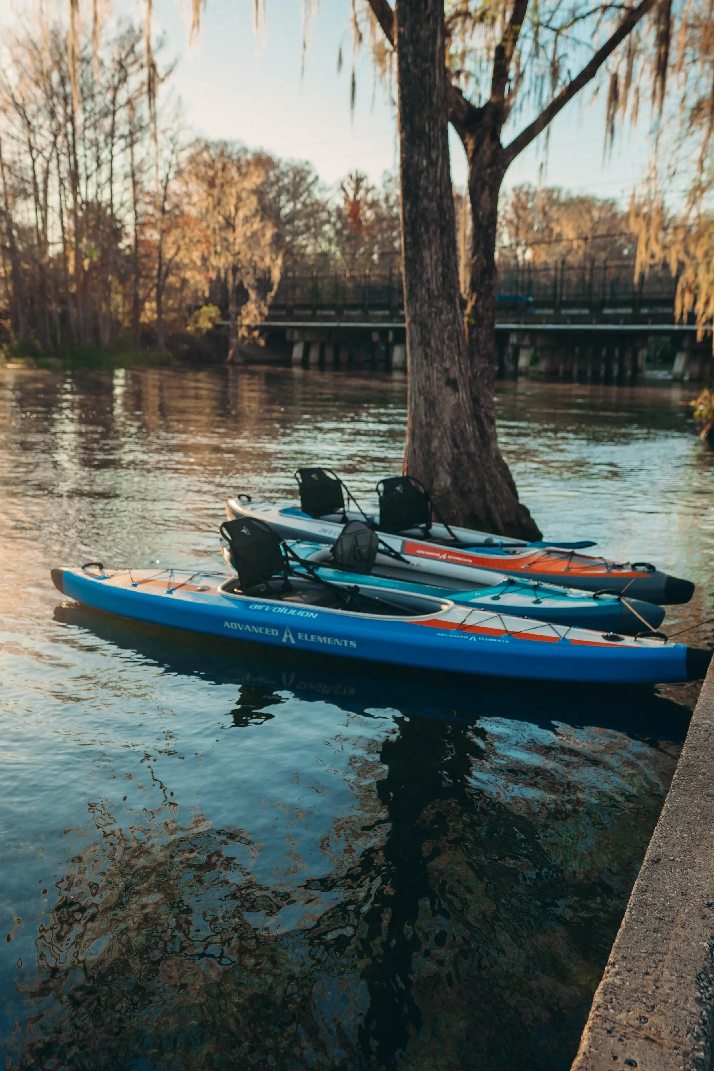 Two kayaks floating on a calm river next to a tree and a concrete bank, with trees and a bridge in the background during late afternoon or early evening.