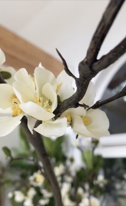 View recent photos.jpg