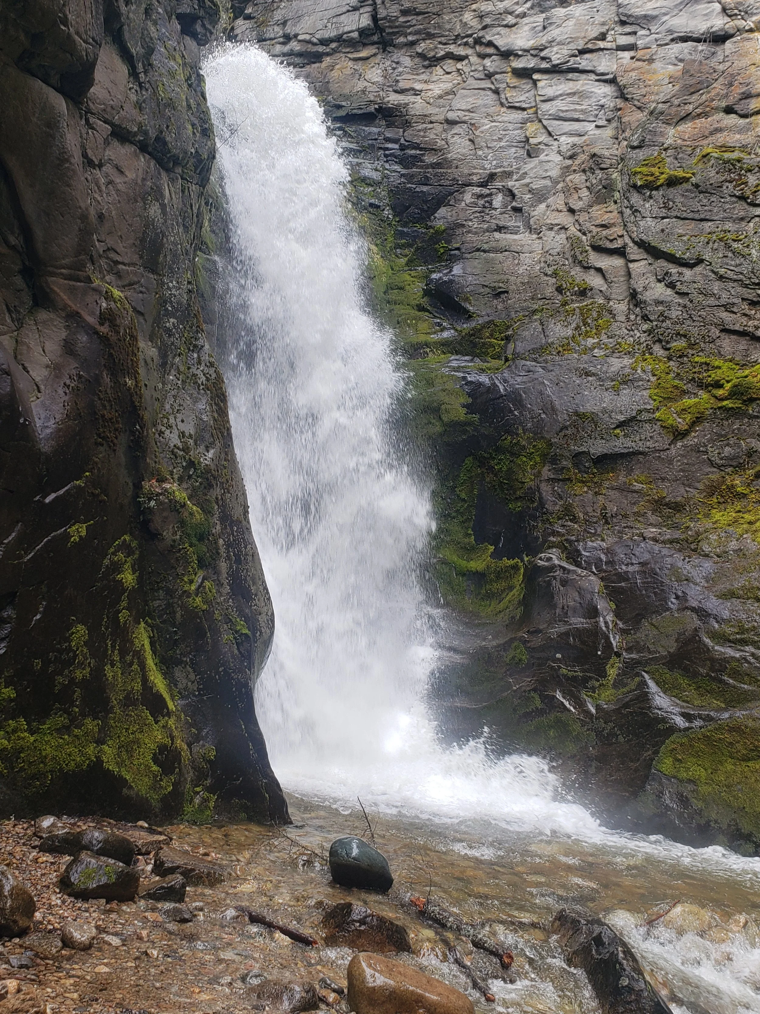Tulip Falls near Fruitvale, British Columbia, with a waterfall flowing through moss-covered cliffs and forest.