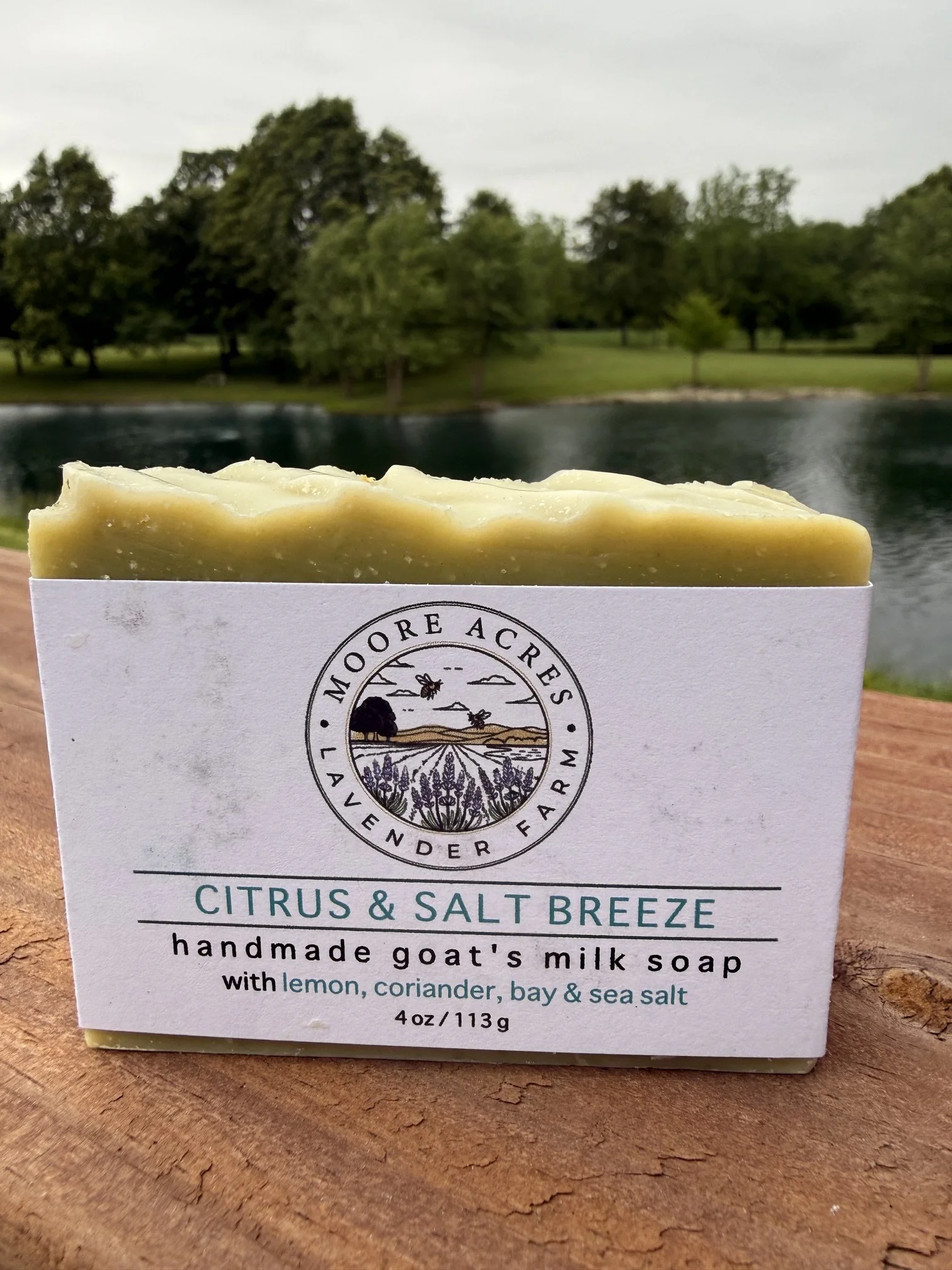 Bring the crisp, salty essence of the sea into your daily routine with our Citrus and Salt Breeze Goats Milk Soap. Crafted with a refreshing blend of coriander, bay, and lemon essential oils, this bar captures the clean scent of ocean air after a coa
