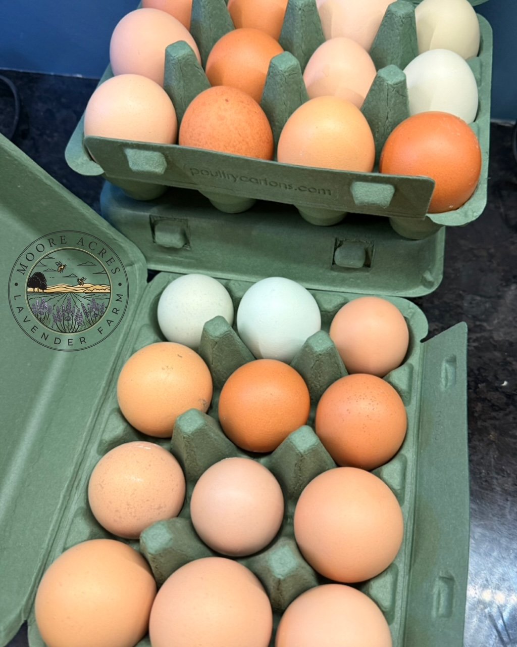 Carlinville Market Days (May)