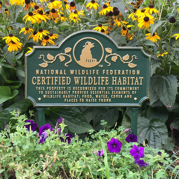 A green sign with gold text and a logo, reading 'National Wildlife Federation Certified Wildlife Habitat,' surrounded by yellow and purple flowers in a garden.