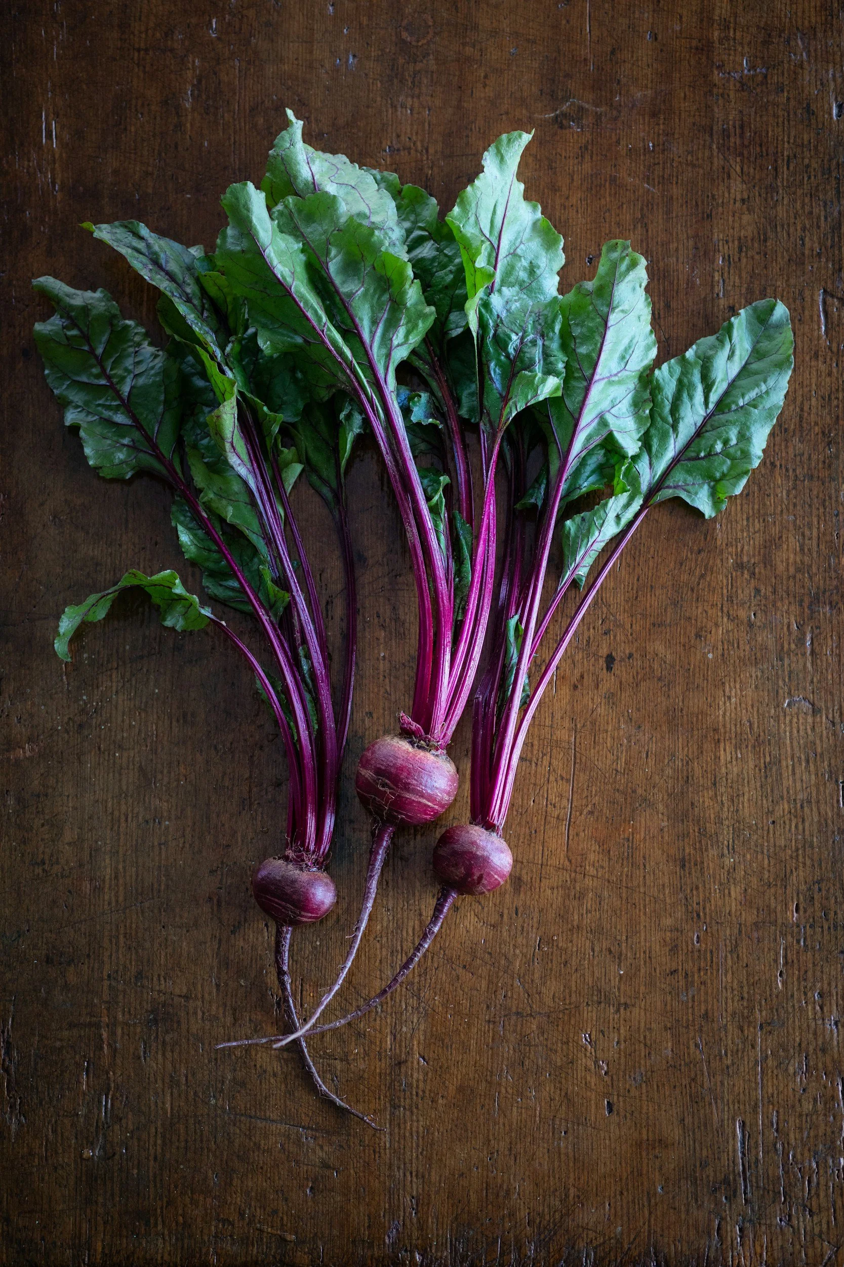 Squeezing blood from a turnip: personal injury actions and judgment proof defendants.