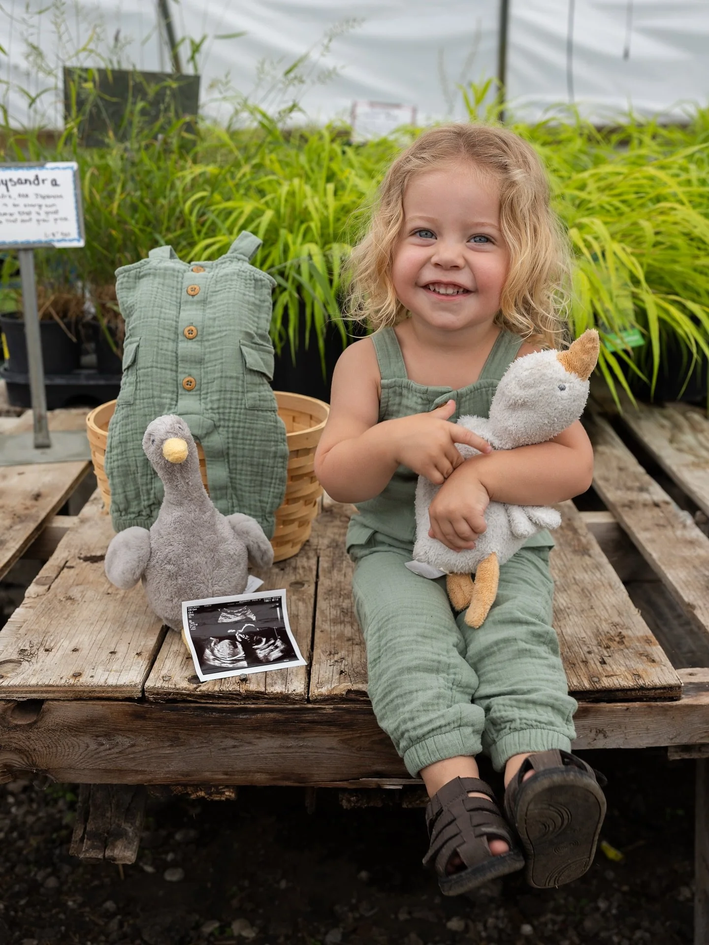 It&rsquo;s been a while!

We&rsquo;ve taken some time off this year to focus on our growing family!  We welcomed baby Graham (you&rsquo;ll meet him in a future post) a few weeks ago and are now gearing up for a busy Fall season after taking most of t