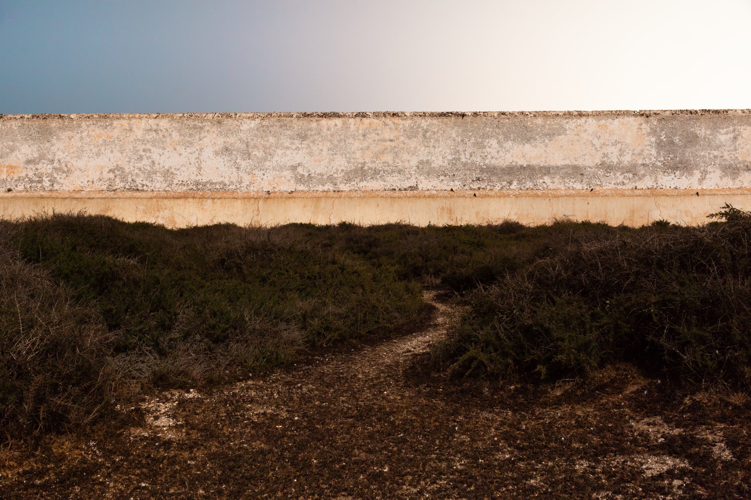 1_MOGADOR_01_MG_2942.jpeg
