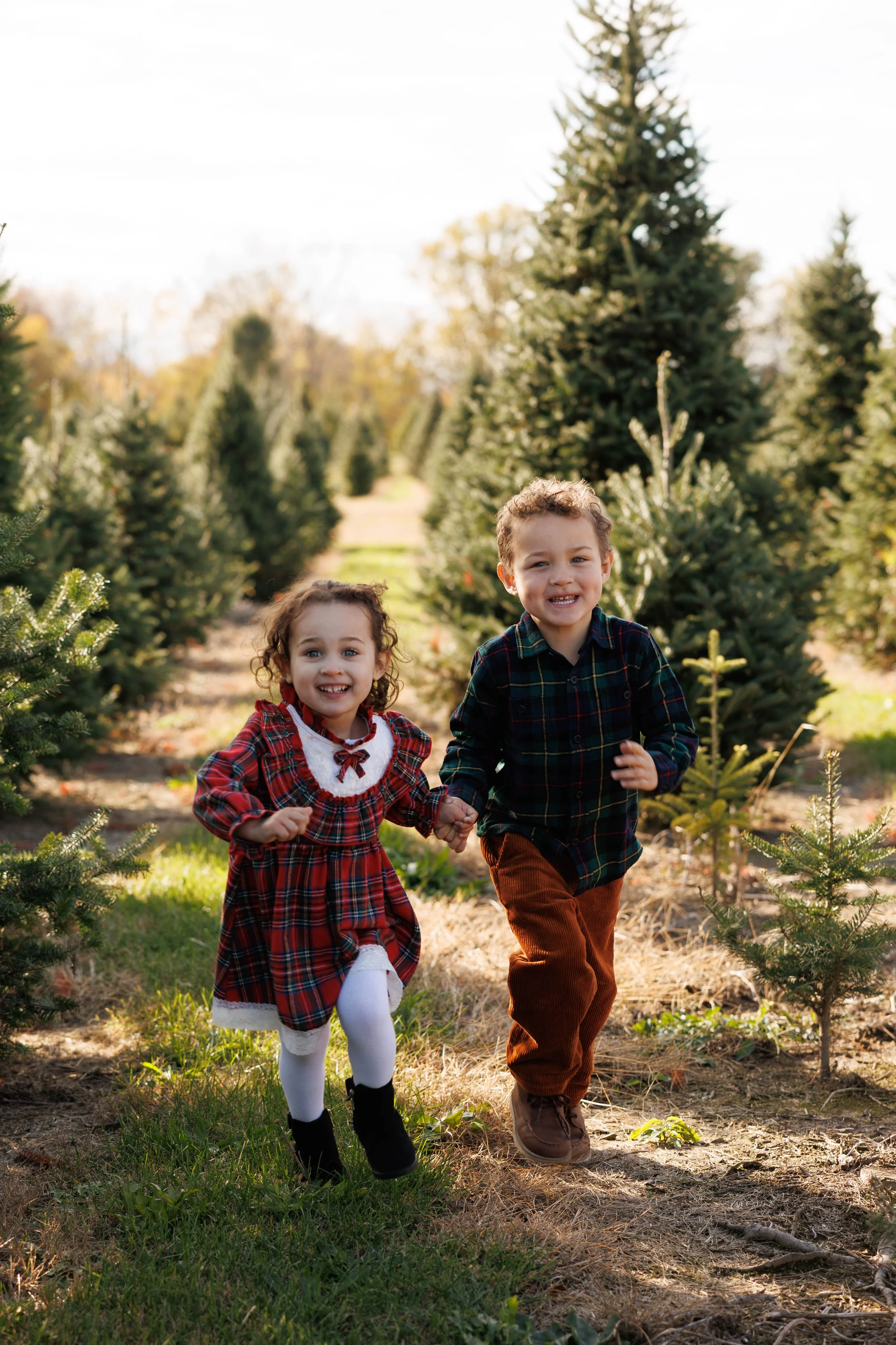 Two young children, a girl and a boy, running hand-in-hand through a Christmas tree farm, surrounded by green conifer trees, wearing festive holiday clothing on a sunny day.