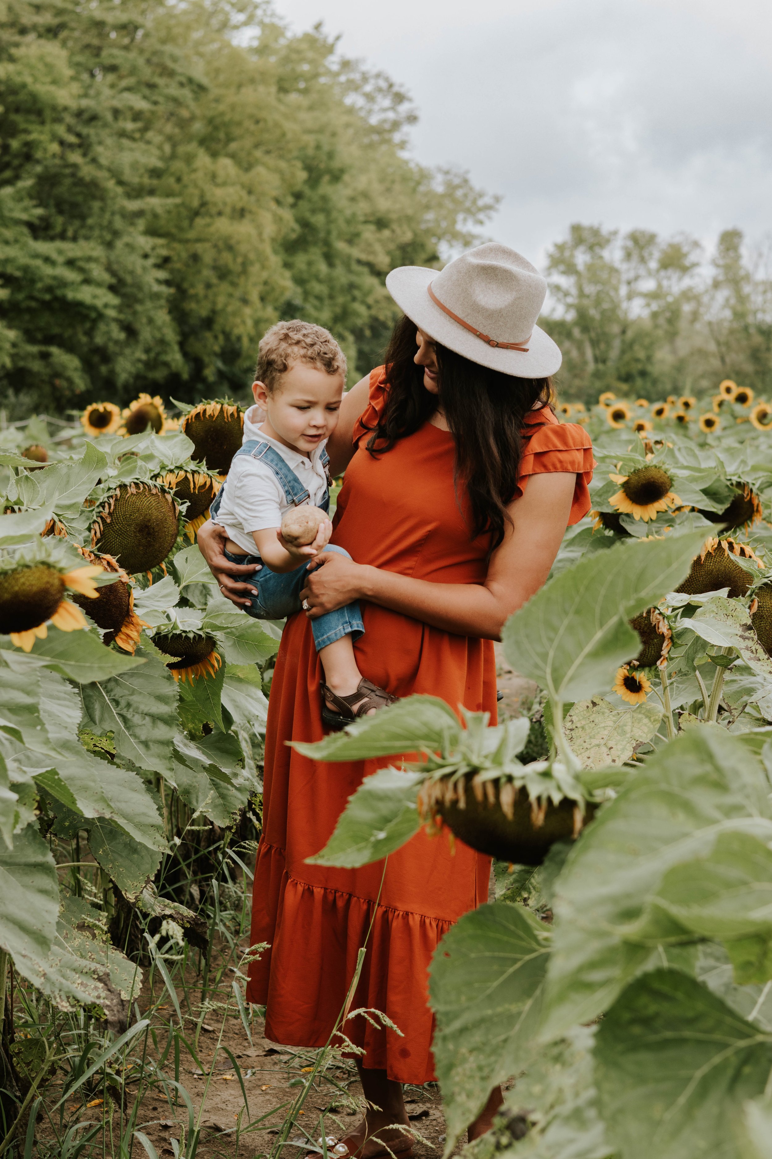 Sunflowers4.jpg