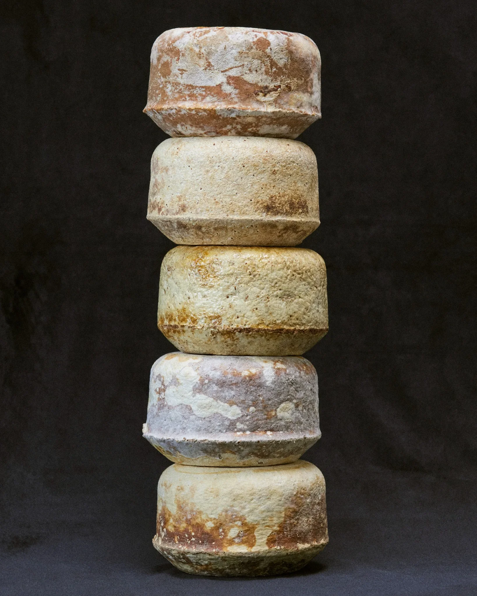 Blocs de mycélium empilés – biomatériaux cultivés pour design durable Esser Studio.