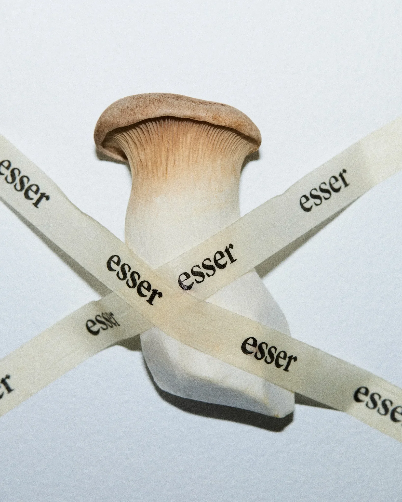 Gros plan d’un champignon utilisé comme crochet décoratif – design expérimental Esser Studio.