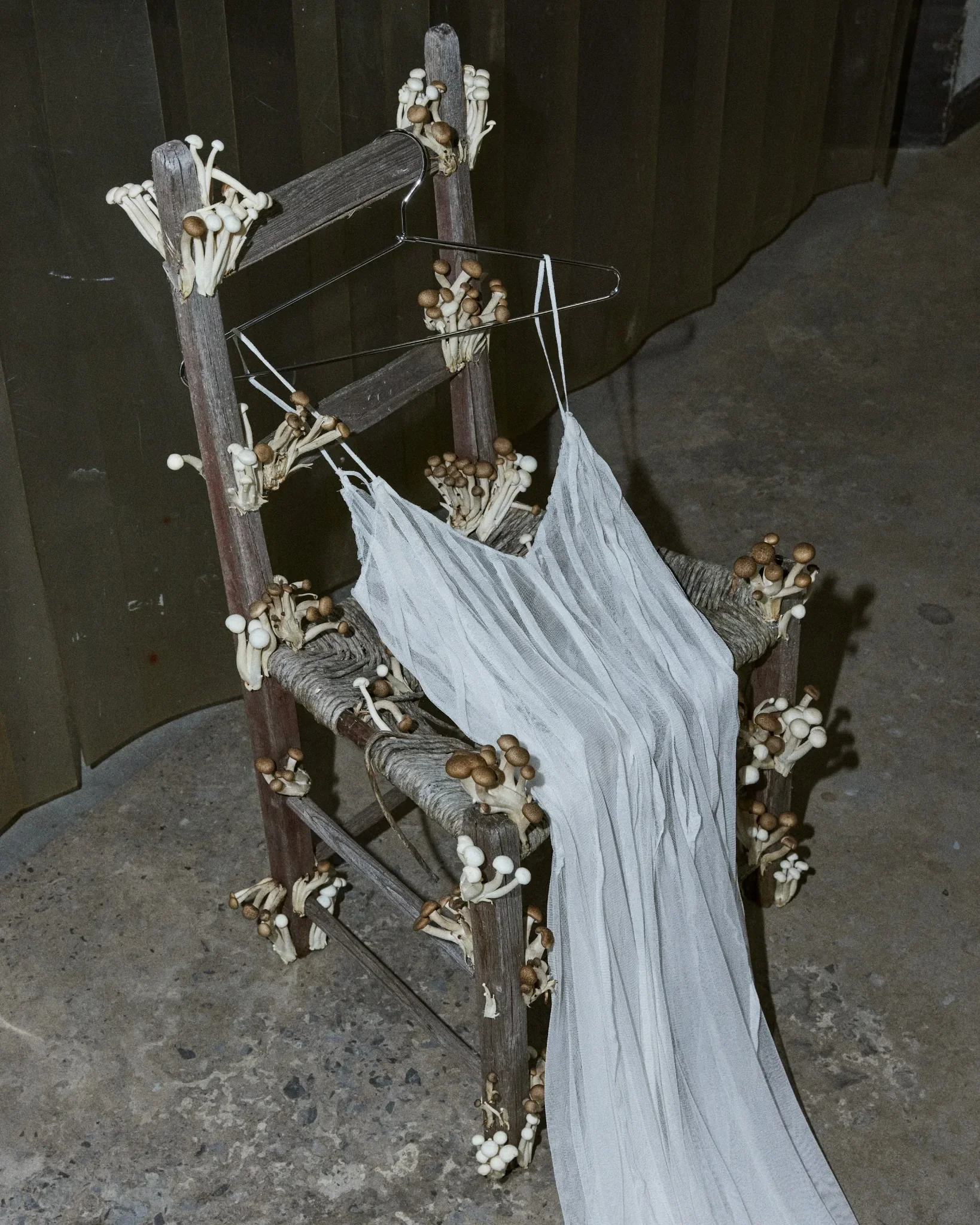 Chaise en bois envahie de champignons avec robe blanche – installation artistique Esser Studio.