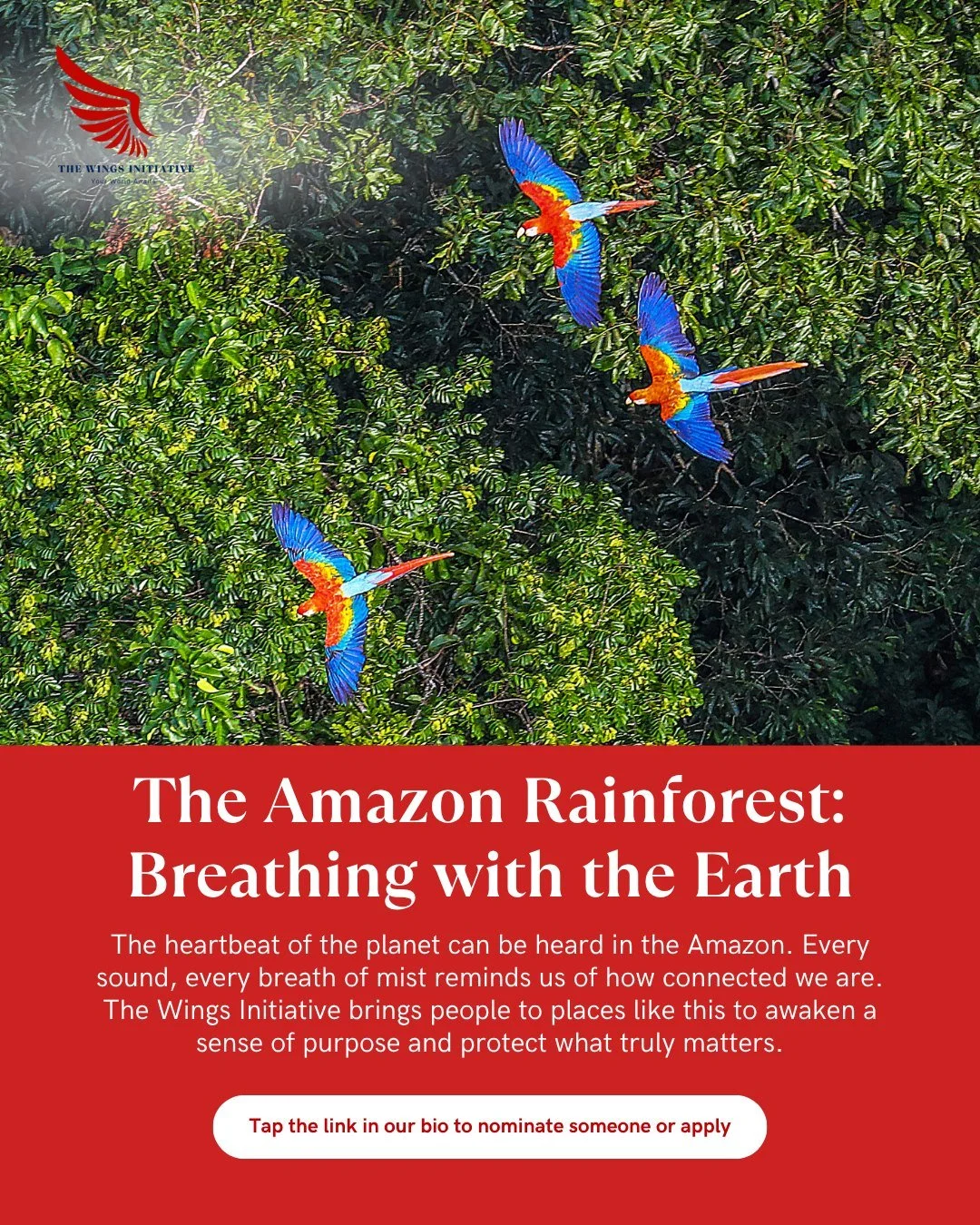 Beauty is everywhere, it just takes the courage to seek it. Let&rsquo;s make it possible for more people to experience the world&rsquo;s colors firsthand. Support discovery that transforms lives.

Get involved at thewingsinitiative.org

#thewingsinit