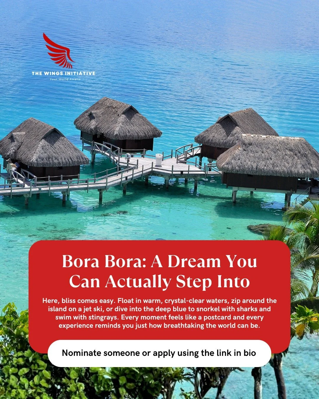 Bora Bora feels like a place the universe handcrafted just to show off. 🌴💙

Overwater bungalows, glowing turquoise water, and palm trees that look like they&rsquo;re posing for paradise but it&rsquo;s almost too perfect to be real.
Float in pure bl
