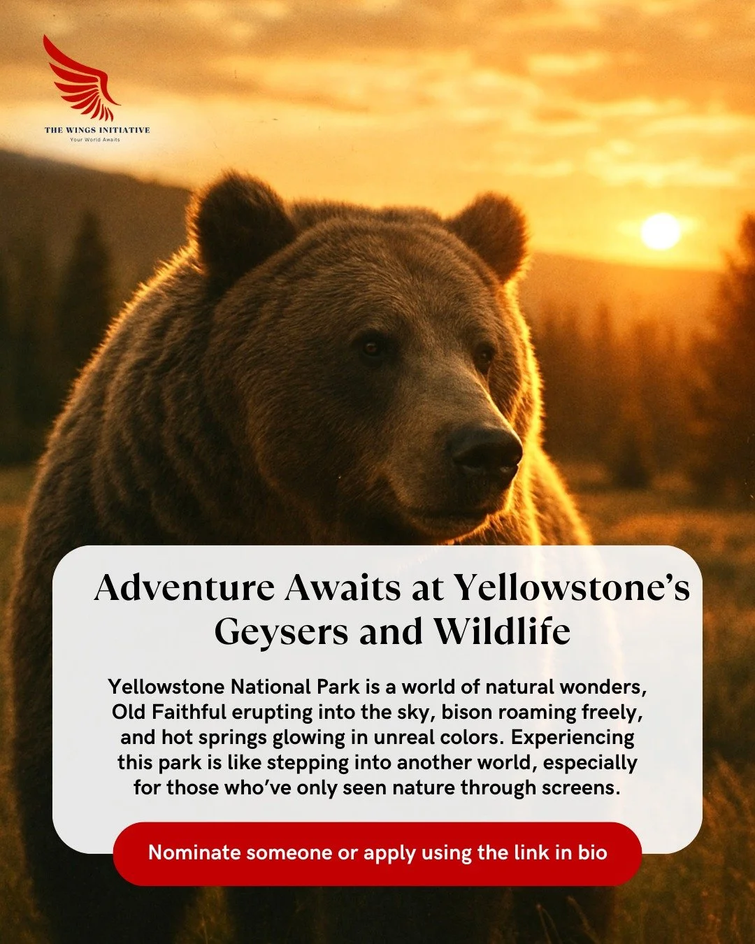 Yellowstone is more than a park; it&rsquo;s a classroom, a playground, and a reminder of how big and beautiful the world truly is. From geysers and hot springs to wolves and elk, every corner invites discovery and awe. 

Imagine gifting someone their