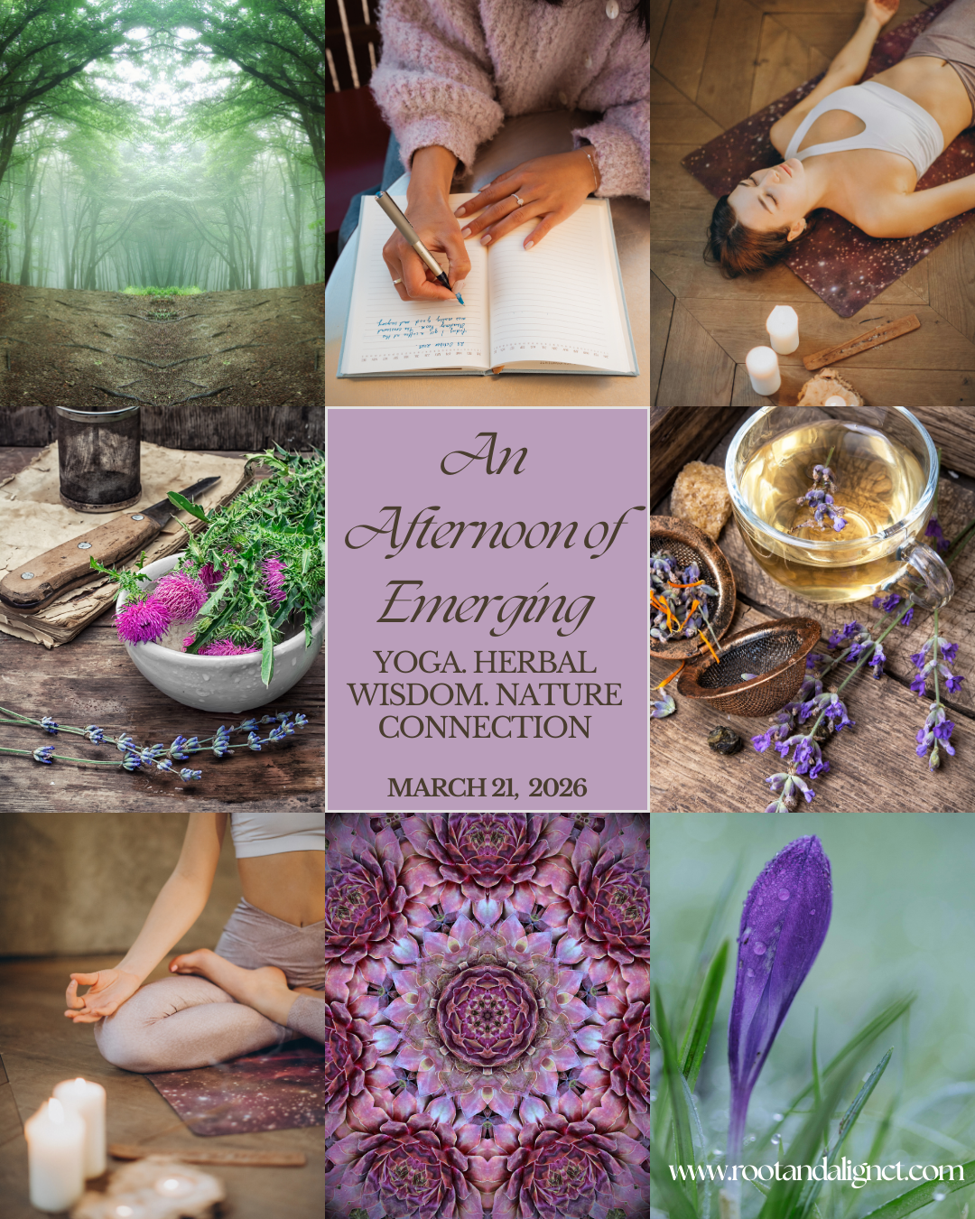 An Afternoon of Emerging: Yoga. Nature Connection. Herbal Wisdom