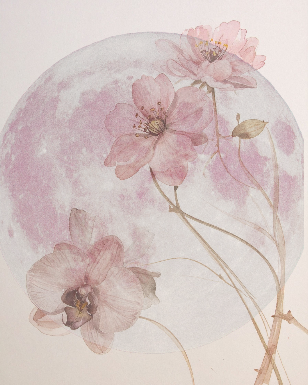 Full Flower Moon - May 2026.png