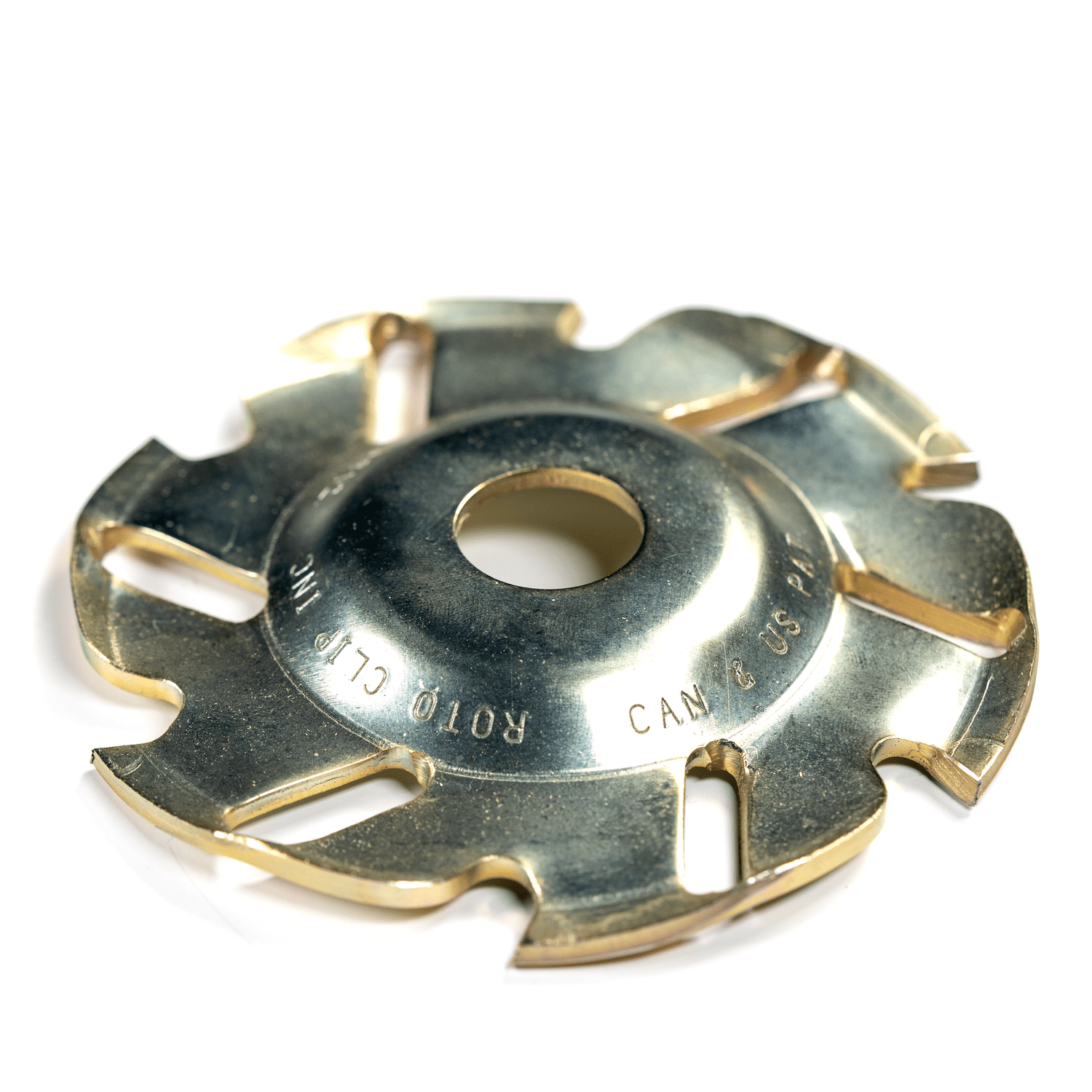 DSC04236.png?format=1500w