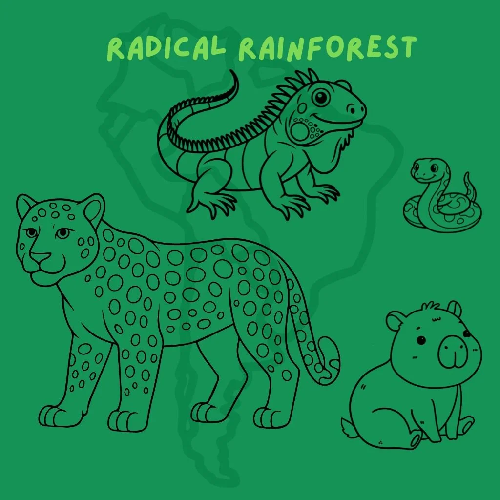 Radical Rainforest.jpg