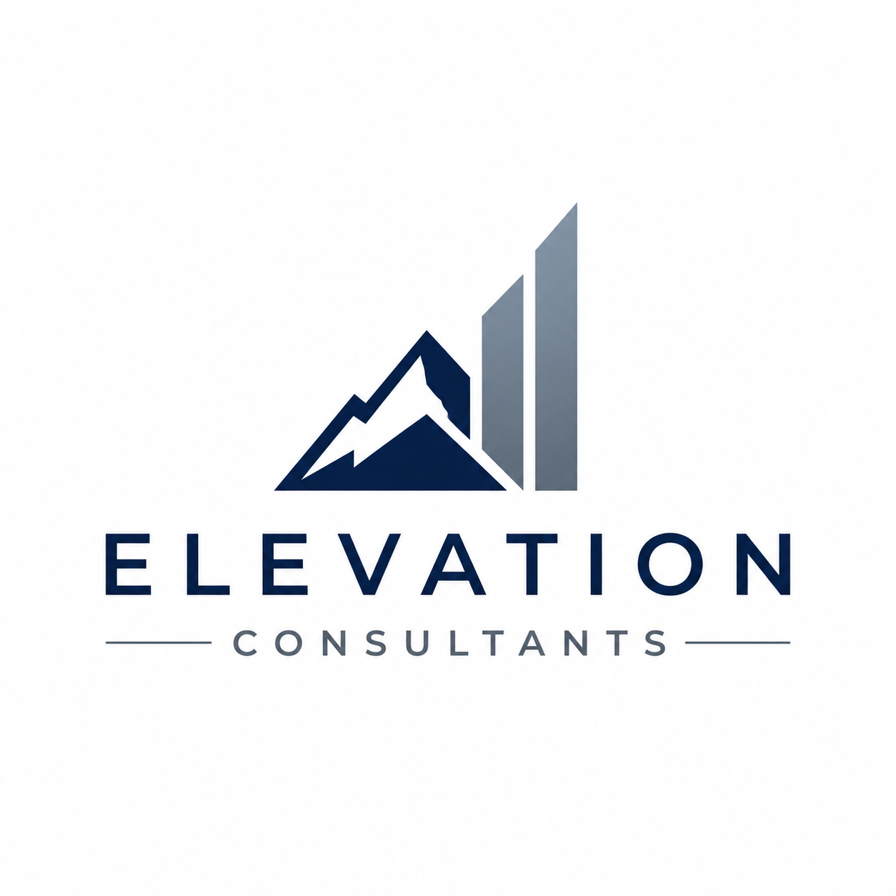 Elevation Consultants