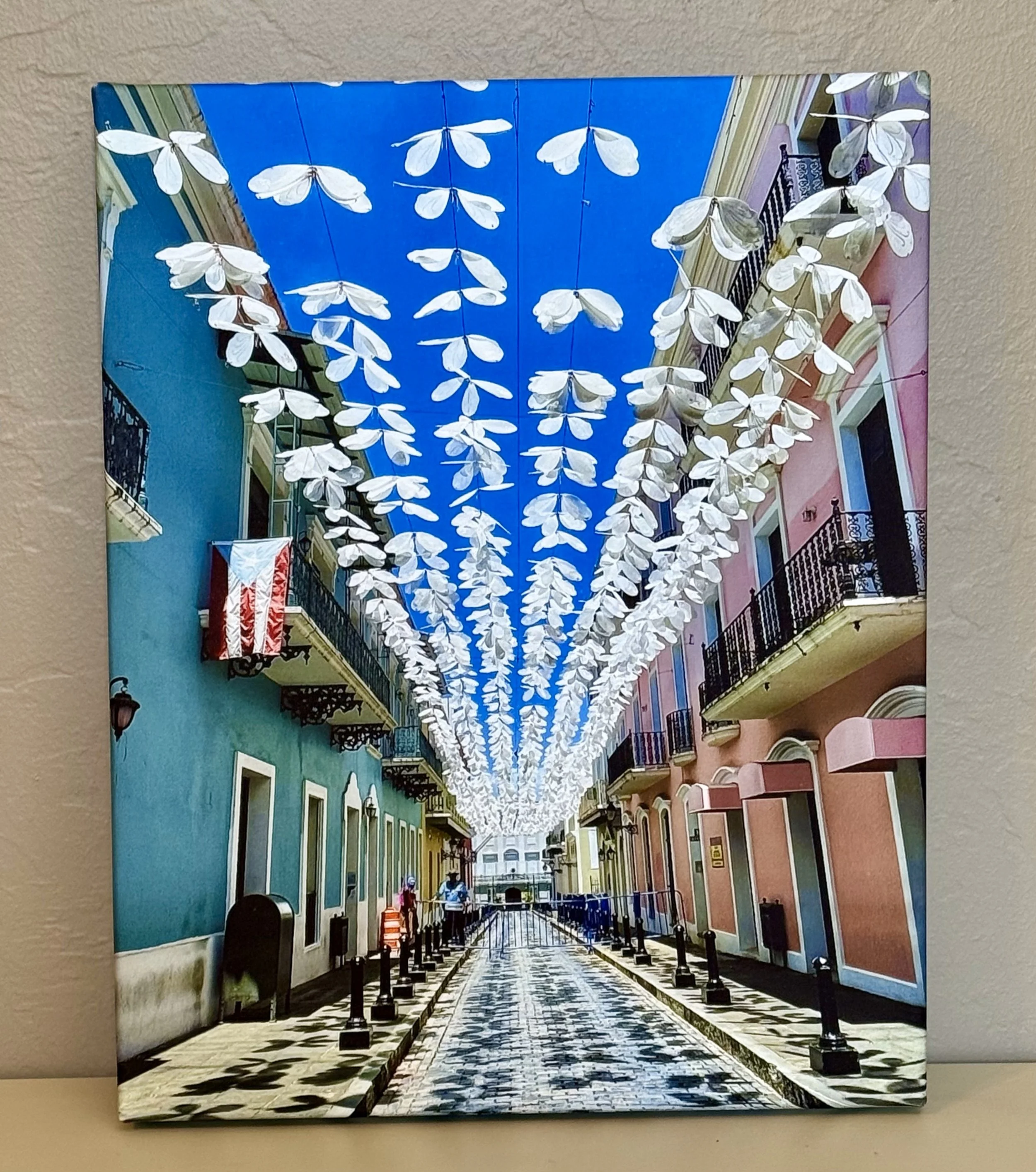 Puerto Rican Butterflies 11x14.jpg