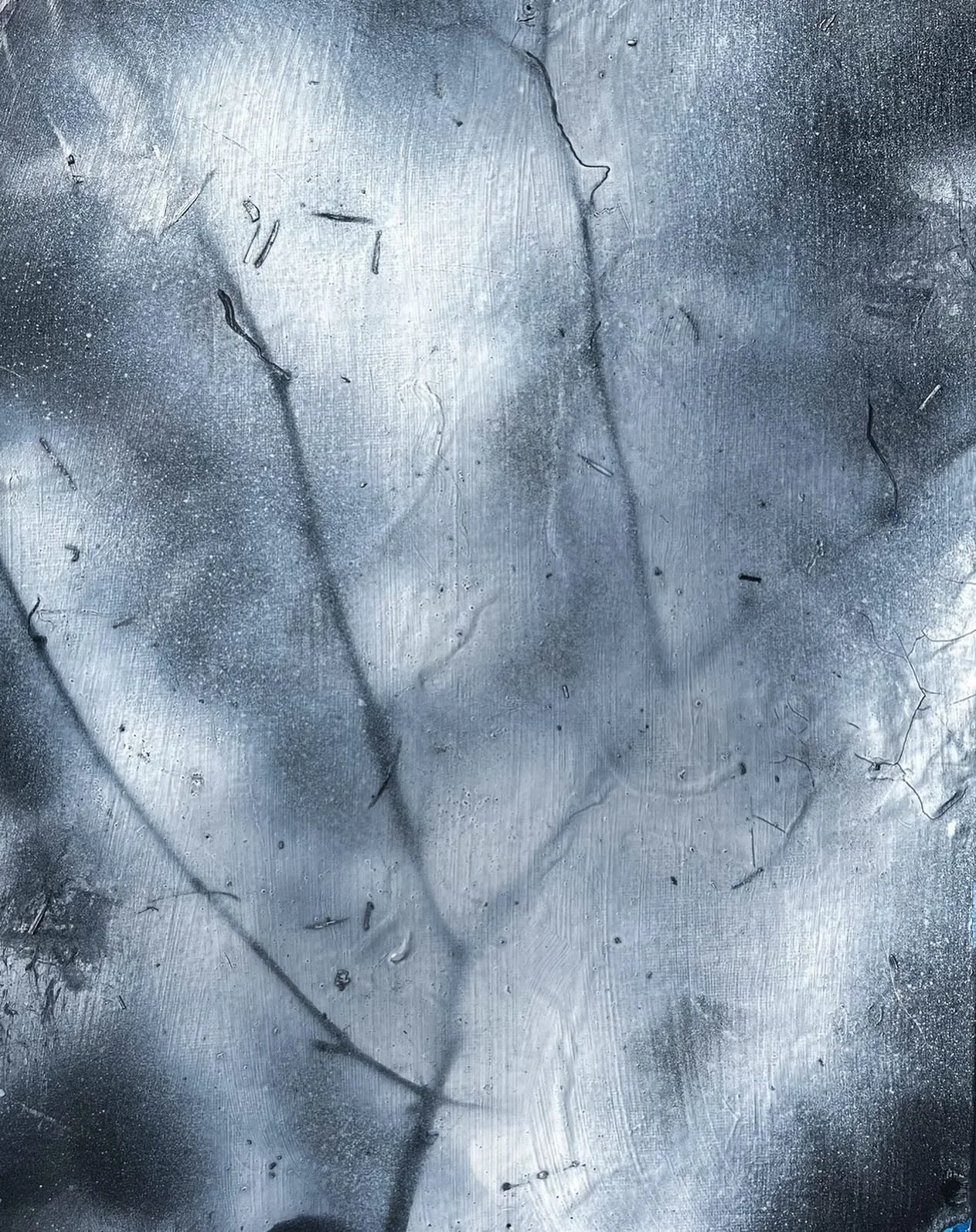 Pressed Limbs (2)
Spray paint on canvas
11.75&rdquo; x 15&ldquo;
$200

Part of the Pressed Limbs series, made with foraged branches pressed and painted to preserve their natural forms.

On display at &ldquo;Into the Hollow&rdquo; at the @exeterpublic