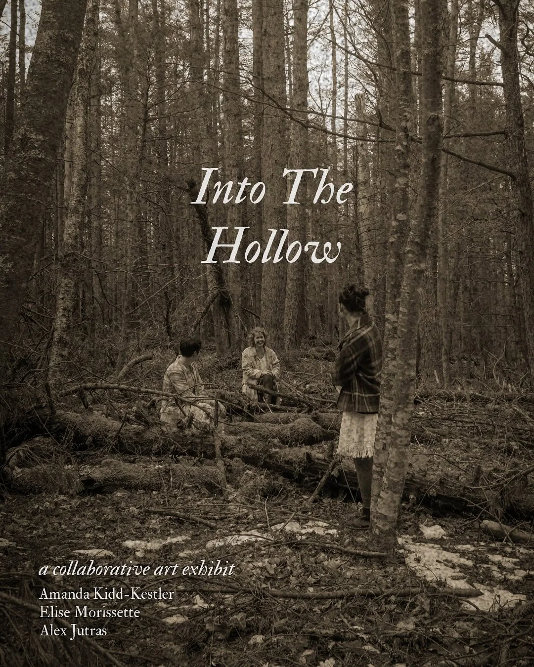 These words are small slivers of the natural world as we&rsquo;ve come to know it, gathered in quiet moments of observation.

&ldquo;Into the Hollow&rdquo; reflects the ways nature moves through us and our art &mdash; softening, bending, and shaping 