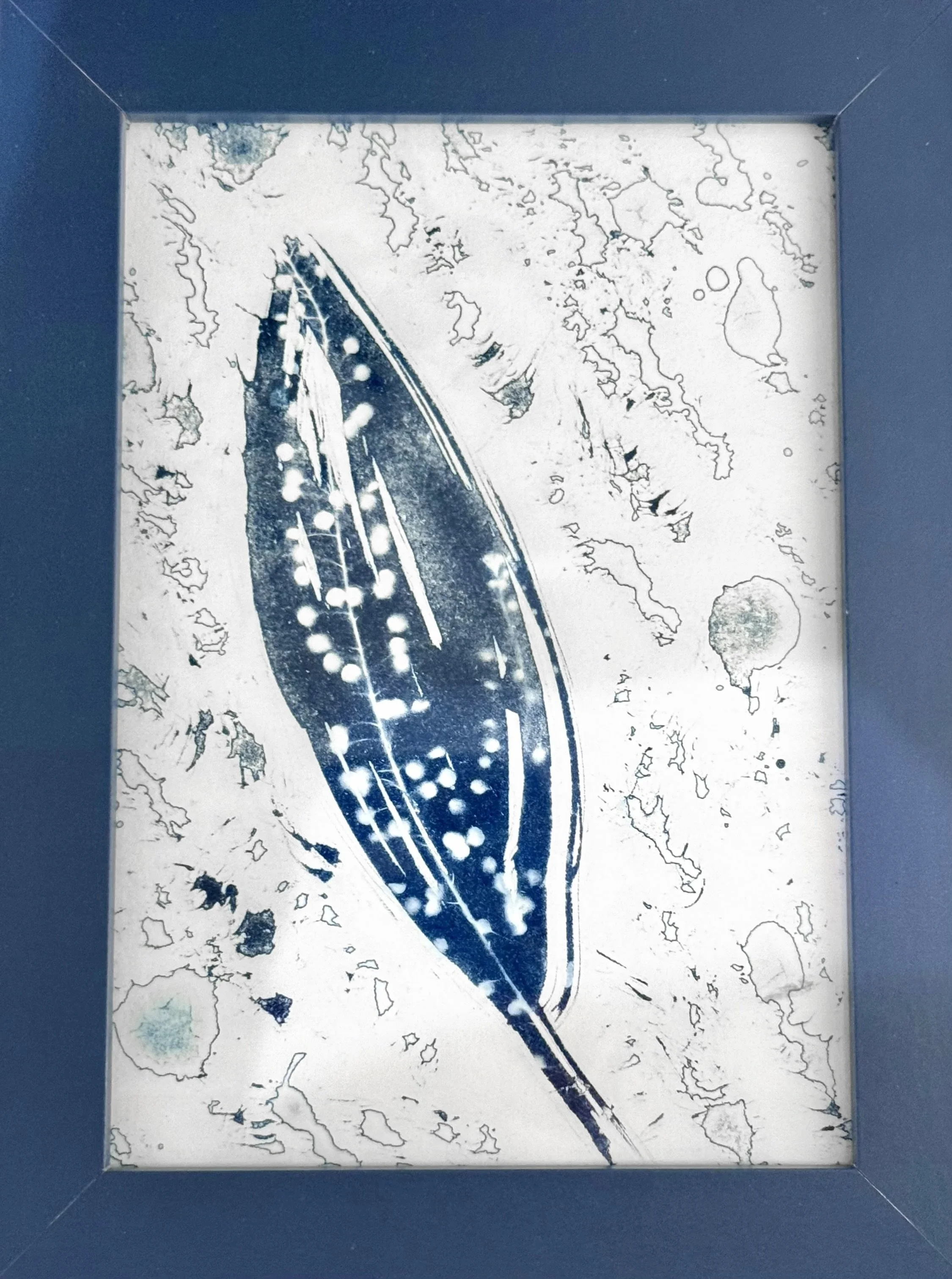 Ripple Effect – Cyanotype (6 x 8)