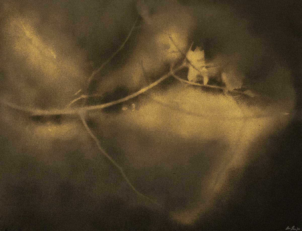 Guided by the Light - Painting (30H x 40W)