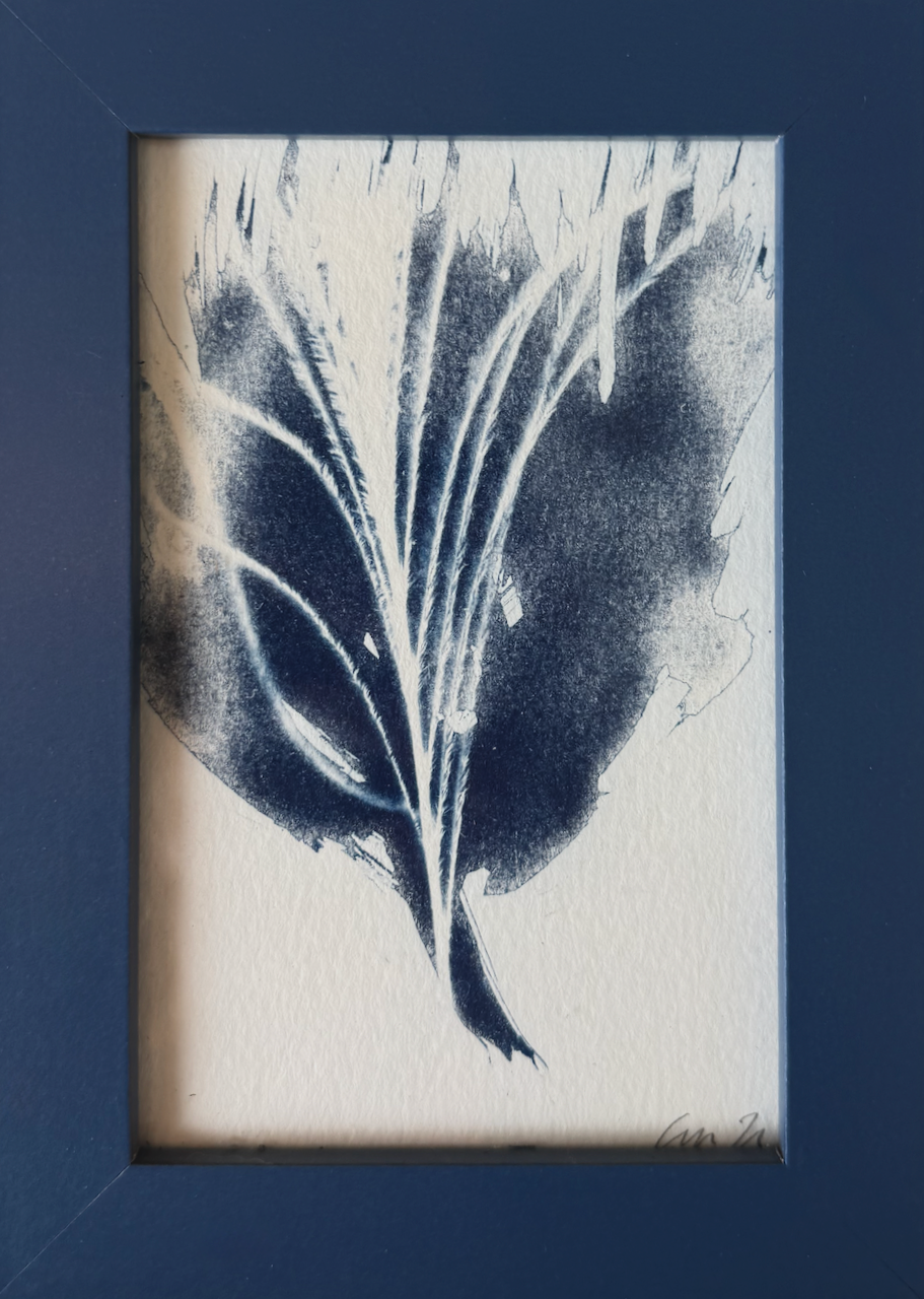 alex-jutras-art_velvet_cyanotype.png