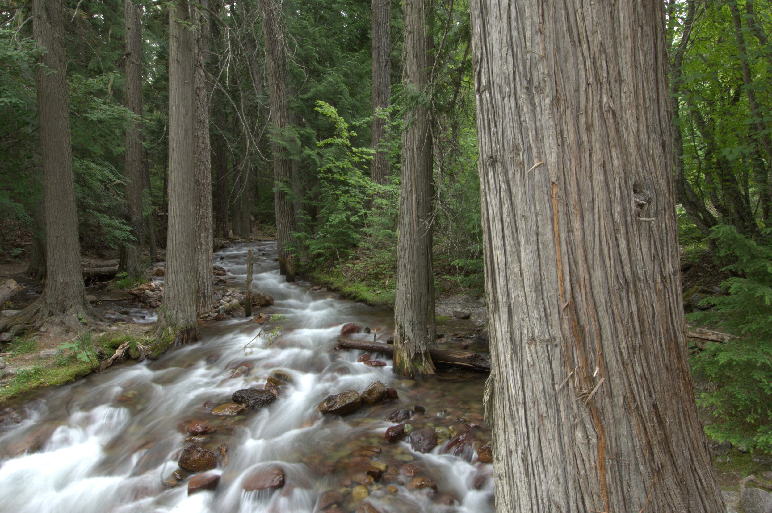 _DSC0152.jpg