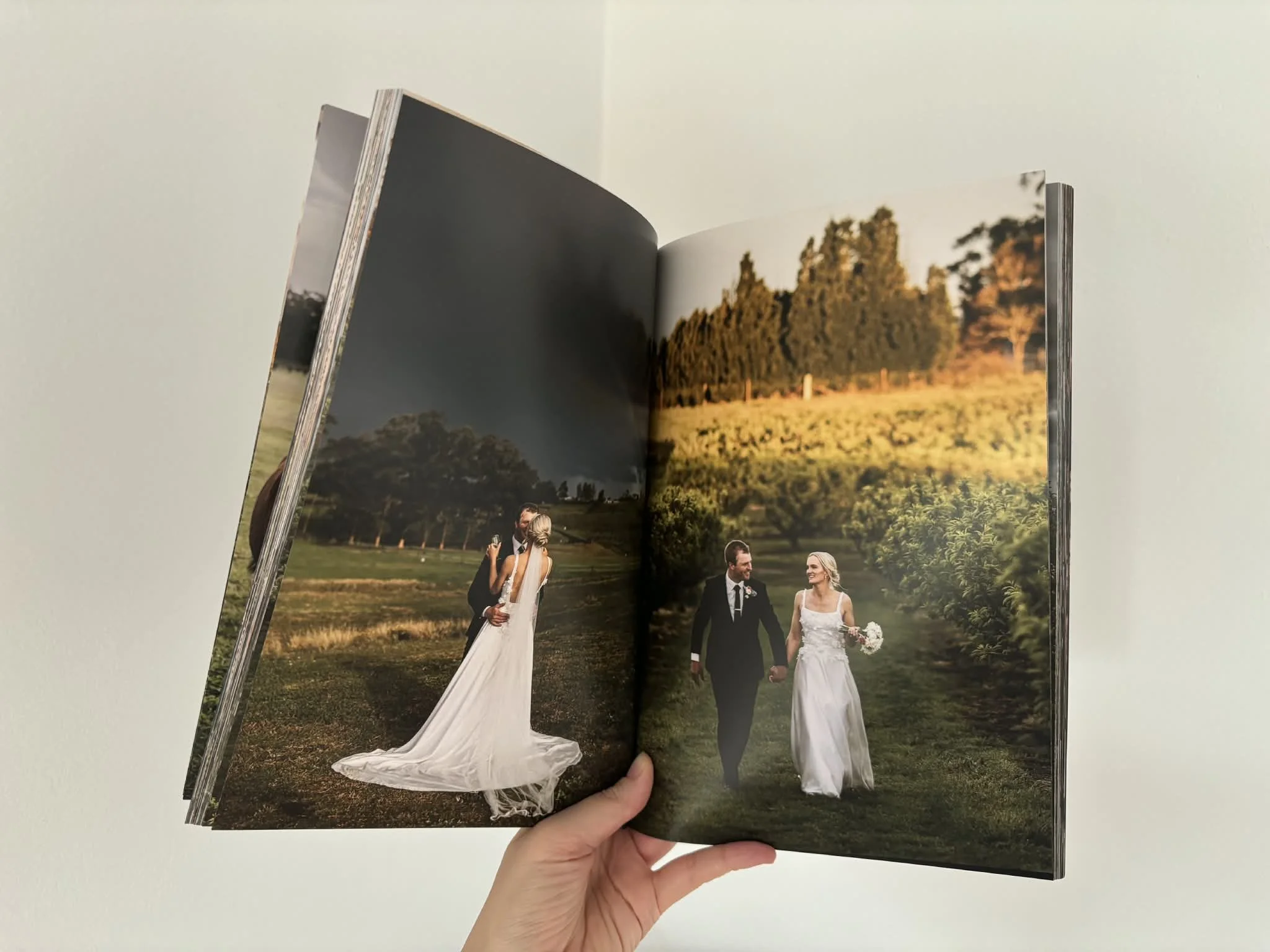 12f1ab11-831d-4cbb-abb5-a1ead63e2d9e.jfif