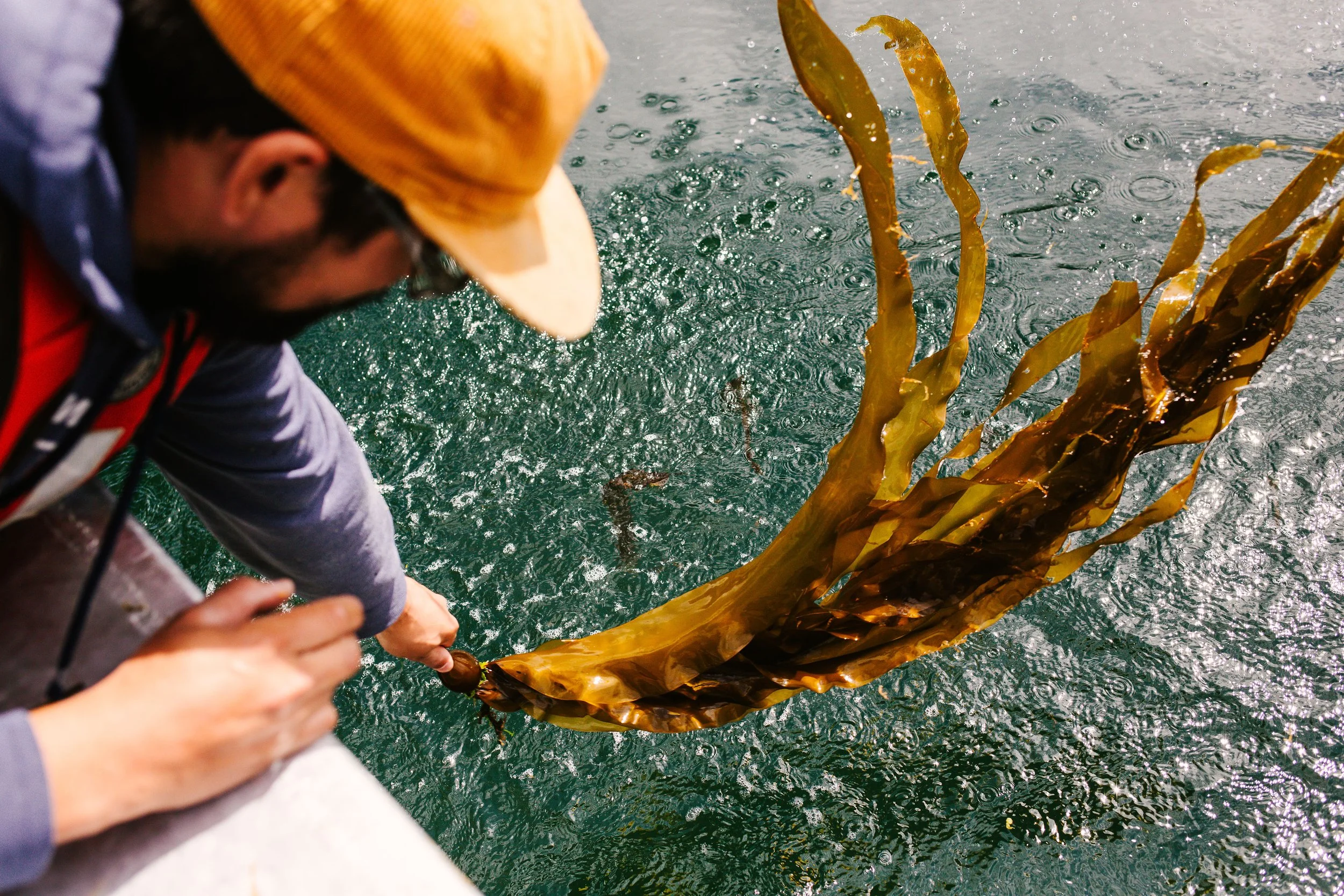 Treading Intentionally in n̓ačiqs | Tofino