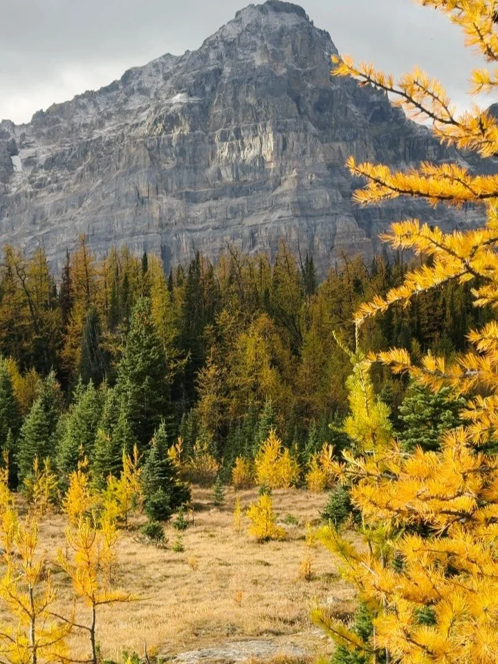 A little bit ago when the larch trees put on their yearly orange glow, my dearest sisters and I headed east and spent time frolicking among the limestone and deciduous forests. We spent many nights camping under the stars and waking up at the crack o