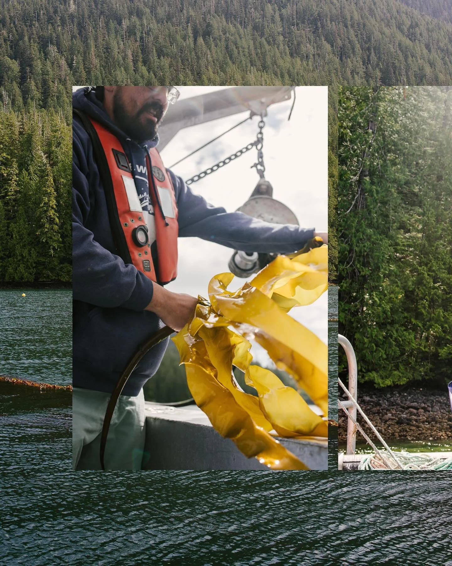 Some work from the summer with @tourismtofino 🪸 On a summers morning, I had the delight of going out on the calm waters of Clayoquot Sound with Stevie from @naasfoods to learn about his sustainable kelp farm. 

Stevie cultivates and hand harvests na