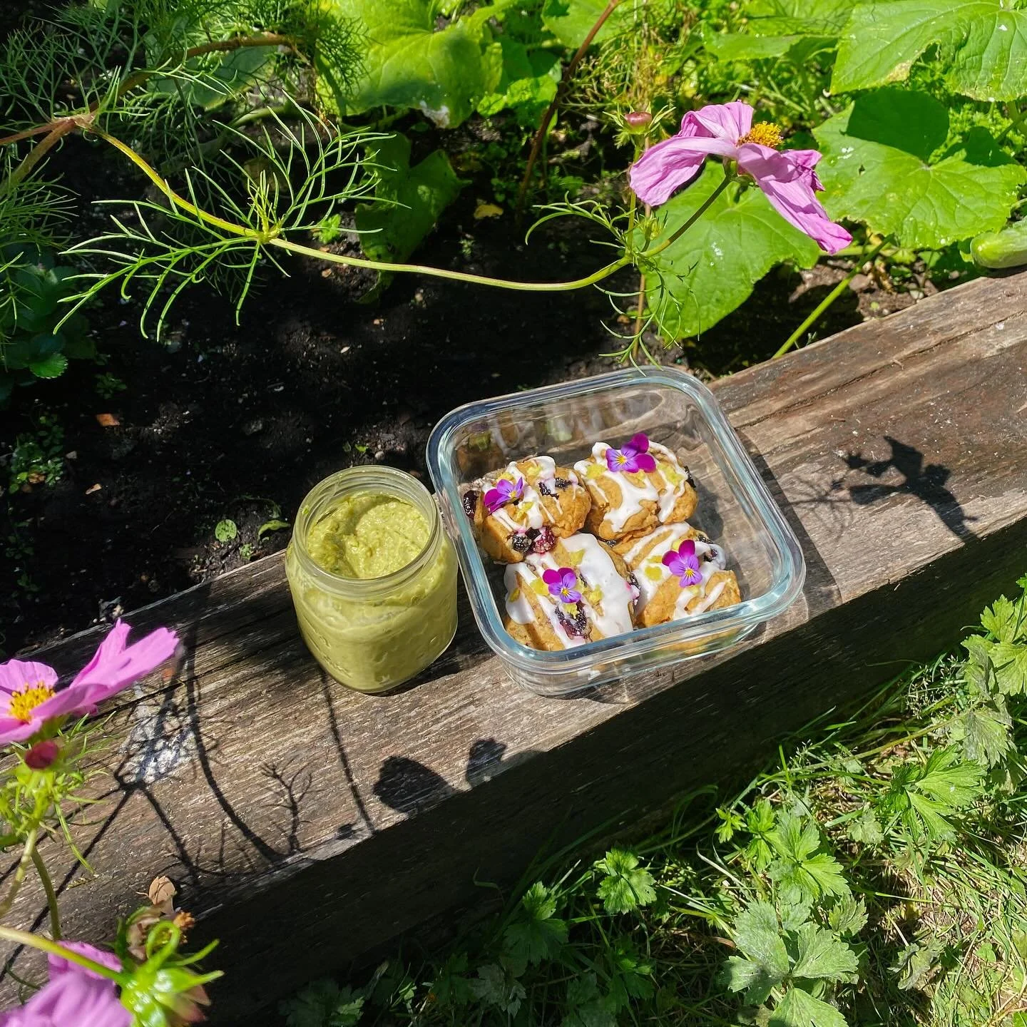 A little collection of simple treats made in my humble garden last year. Homemade pickles from garden grown cukes, garlic scape pesto made with farmers market scapes, and some baked goods with a sprinkling of flowers harvested from the garden. Also, 