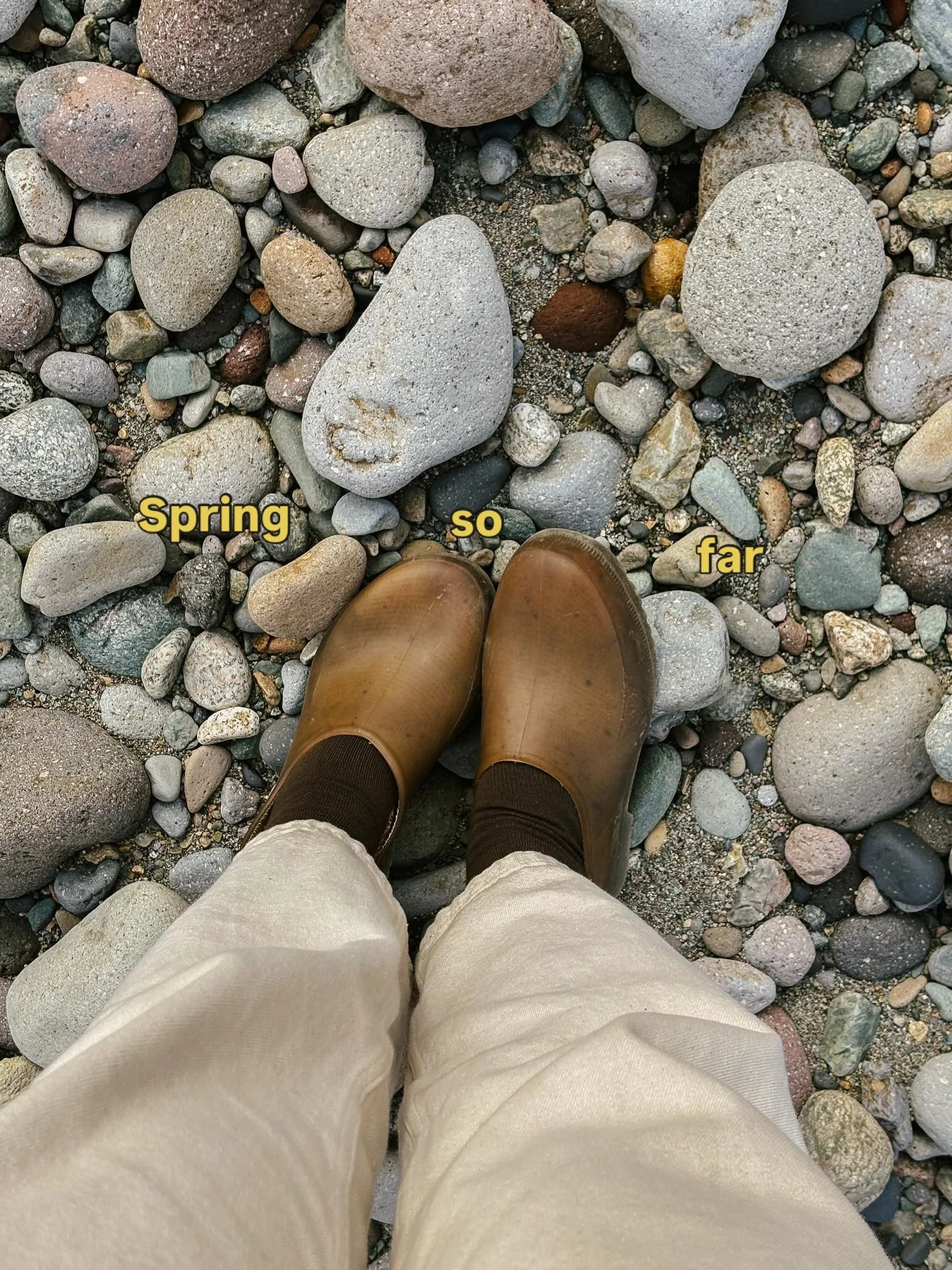 What a Spring it&rsquo;s been so far! Mostly sowing seeds, wrapping up a degree, relishing in the novelty of Spring in a new community, and spending quality time outside with those dearest to me. Lots of learning and absorbing; mostly to not rush and
