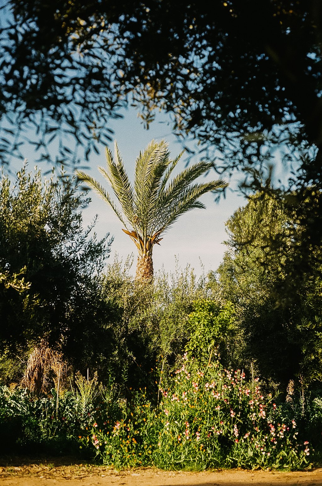 001424200033.jpg