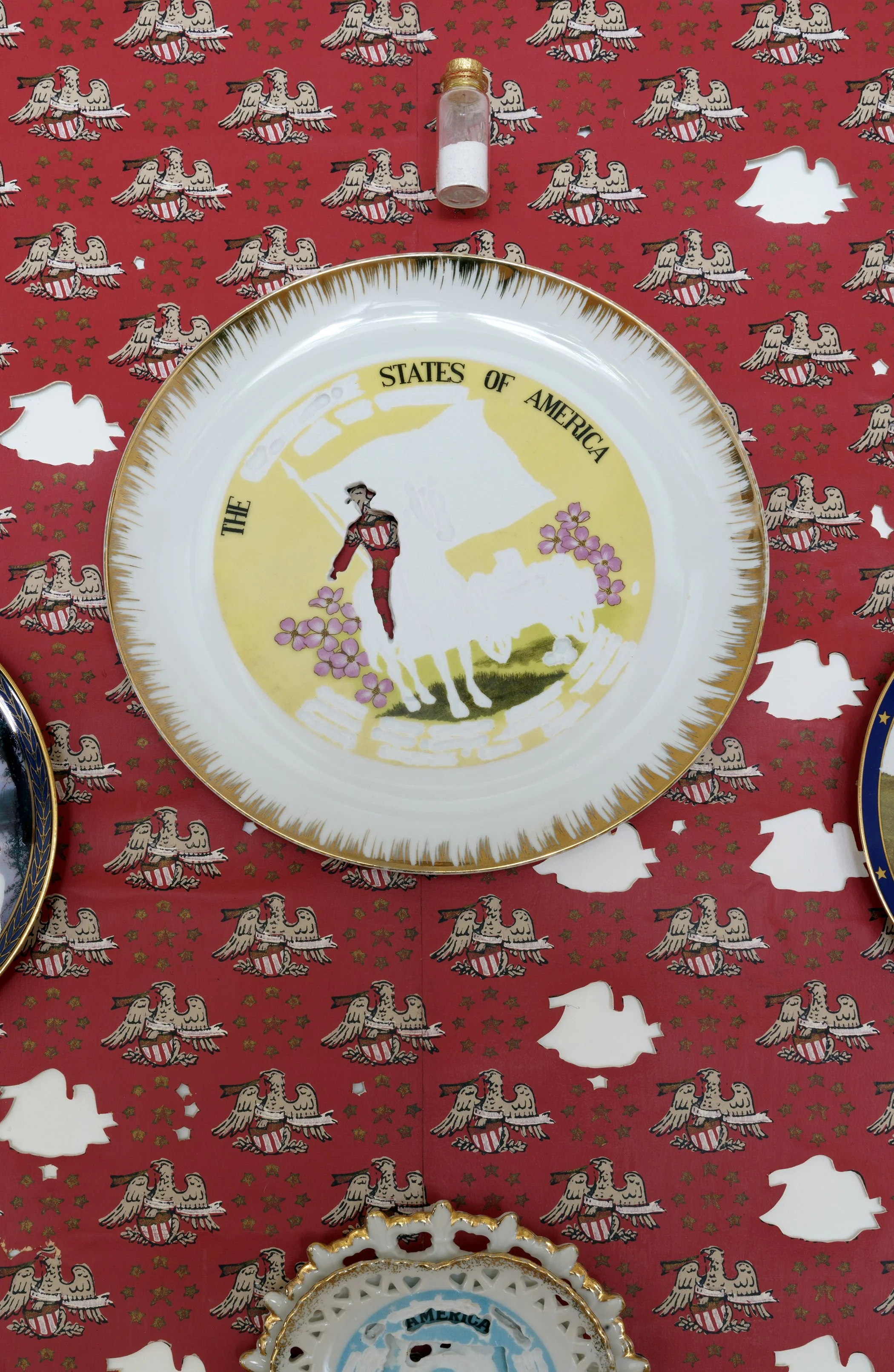 Scenic America: Centennial 1